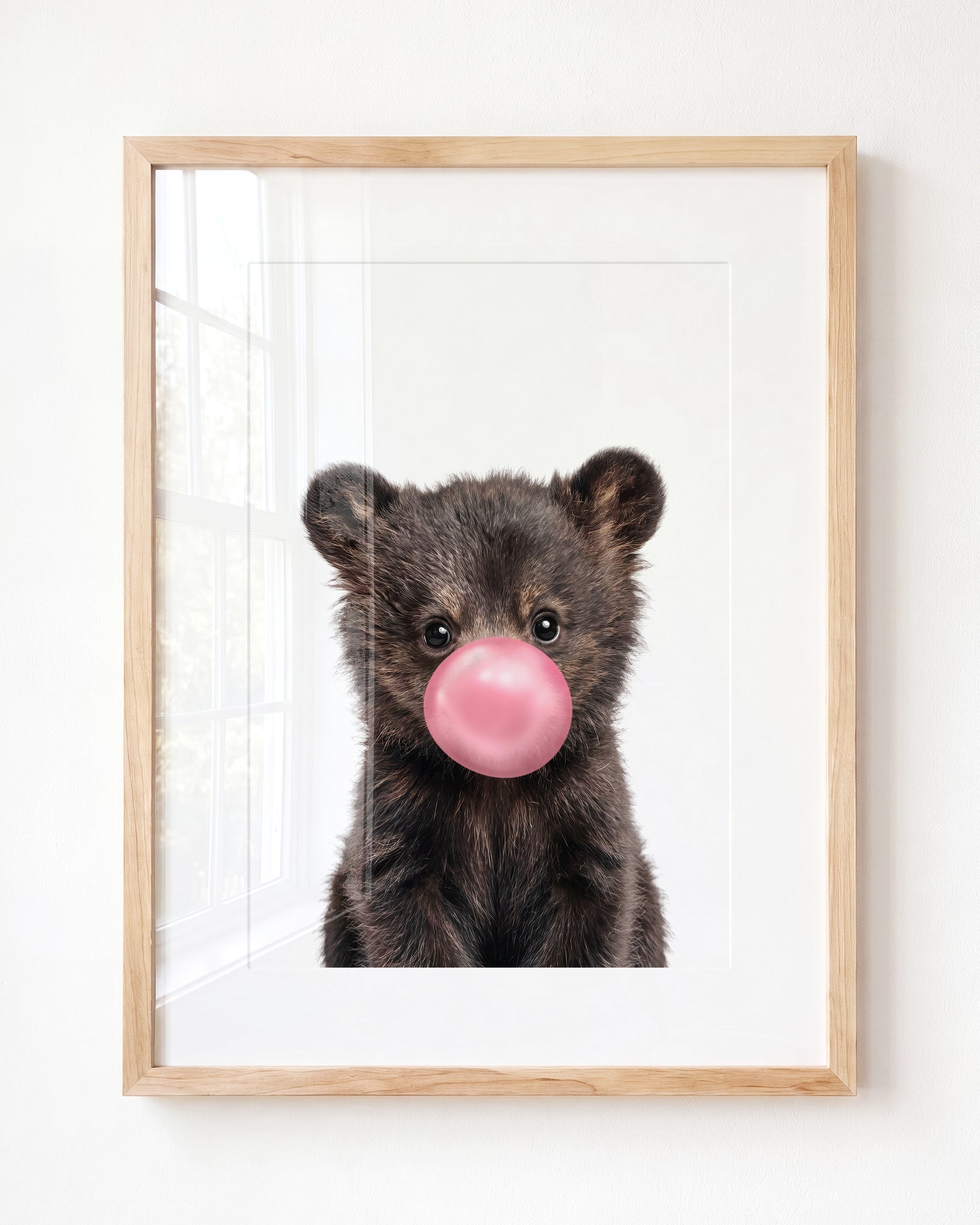 Baby Black Bear