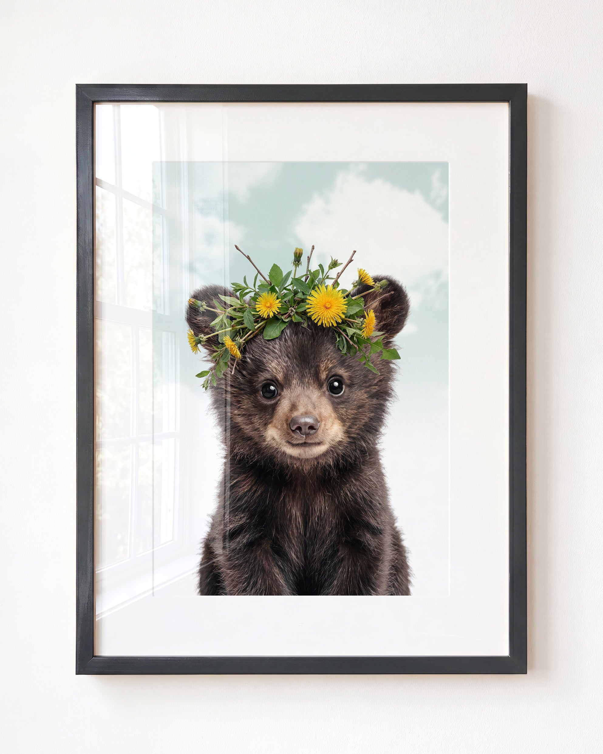 Baby Black Bear