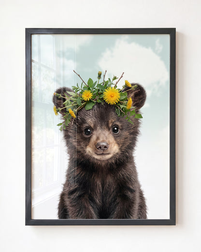 Baby Black Bear