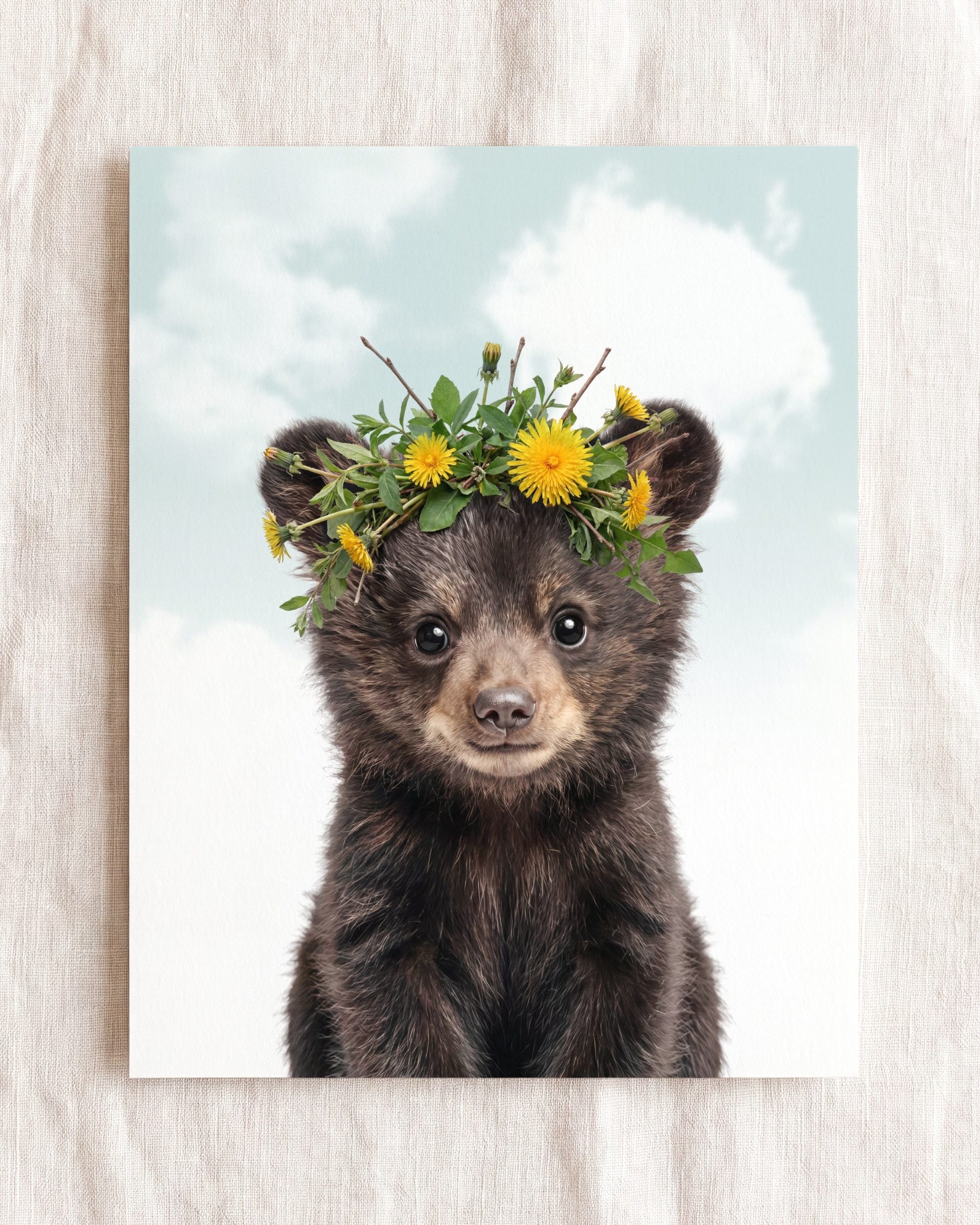 Baby Black Bear