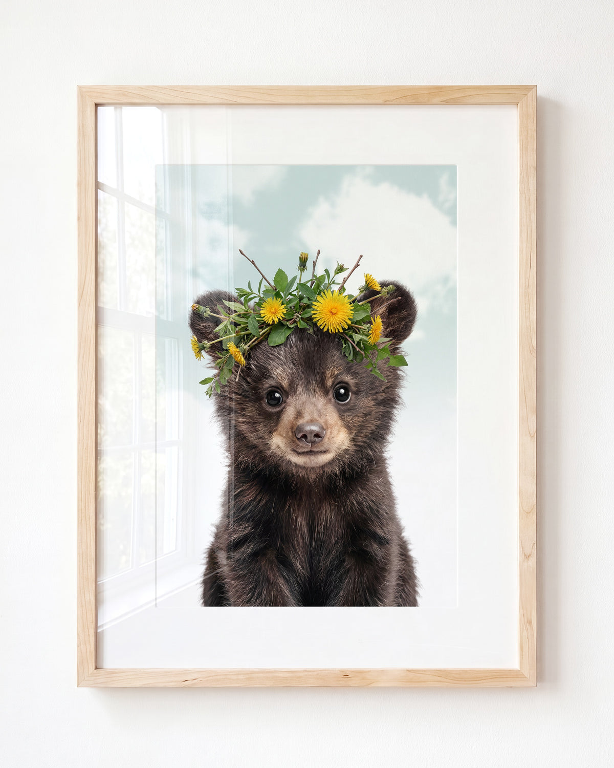 Baby Black Bear