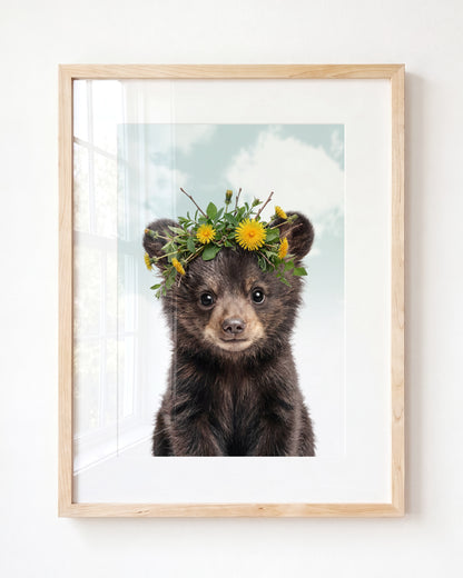 Baby Black Bear