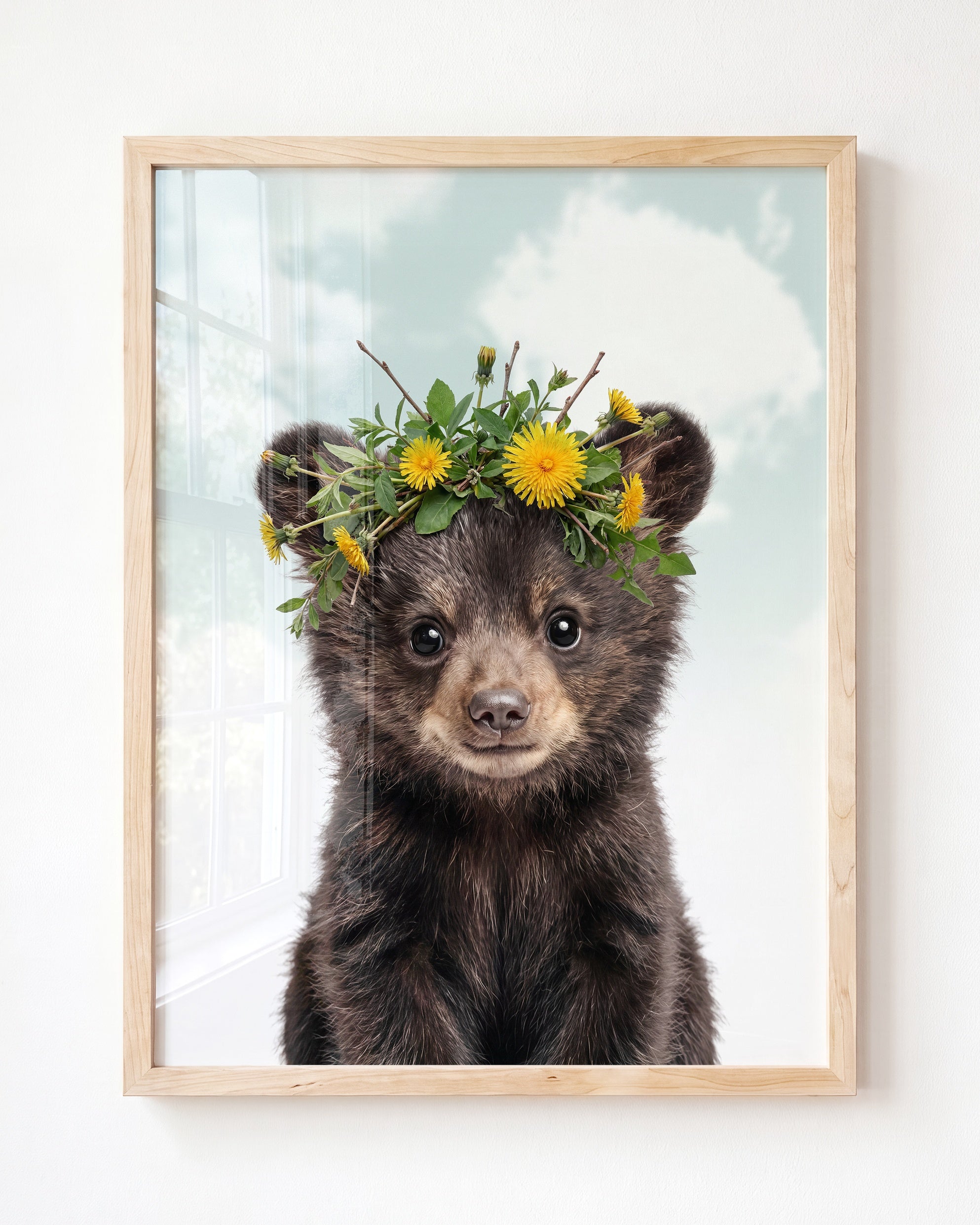 Baby Black Bear