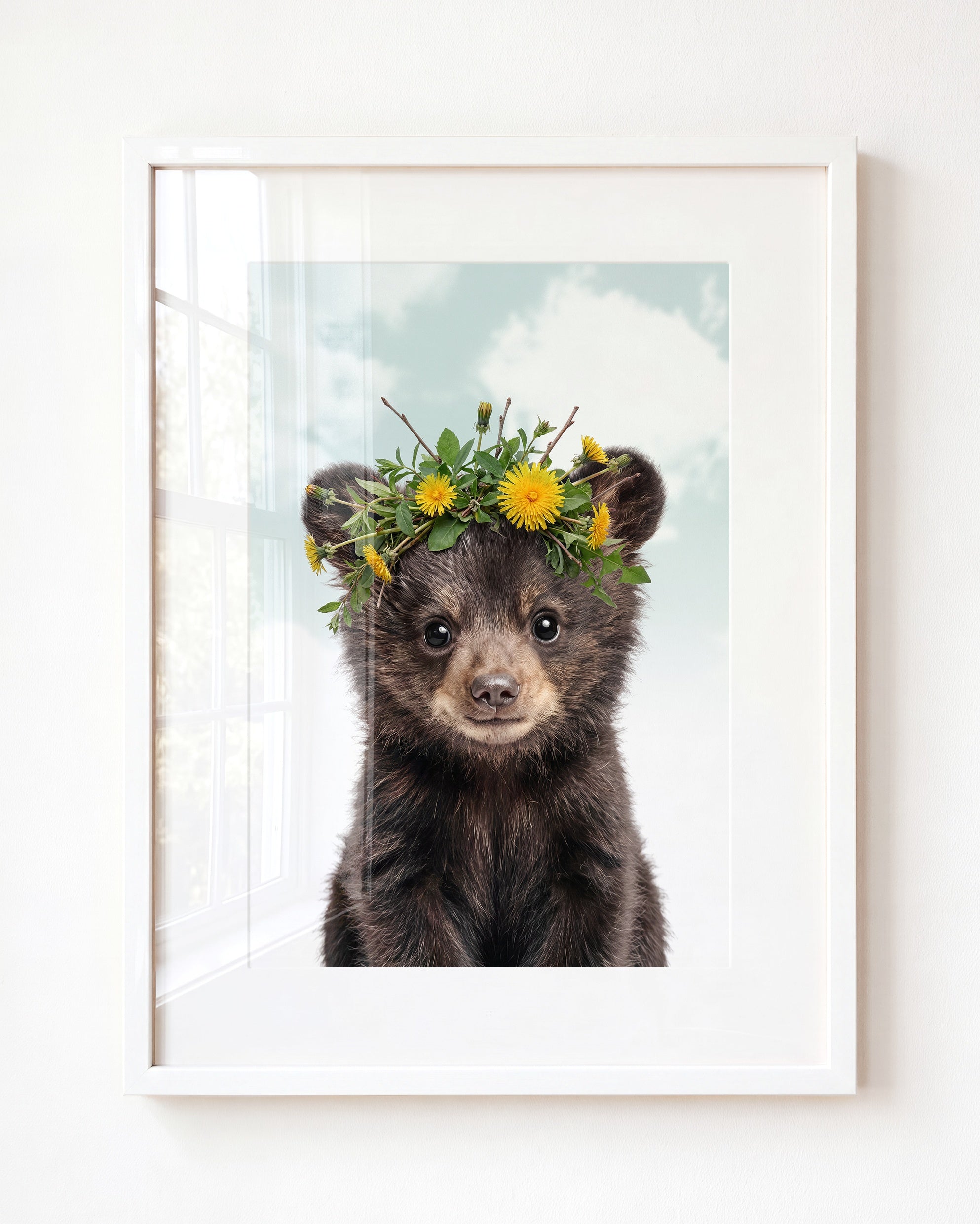 Baby Black Bear