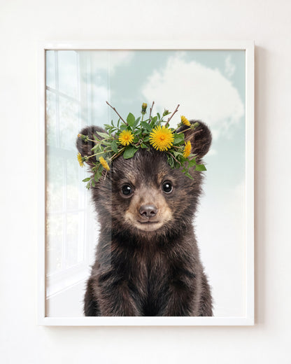 Baby Black Bear