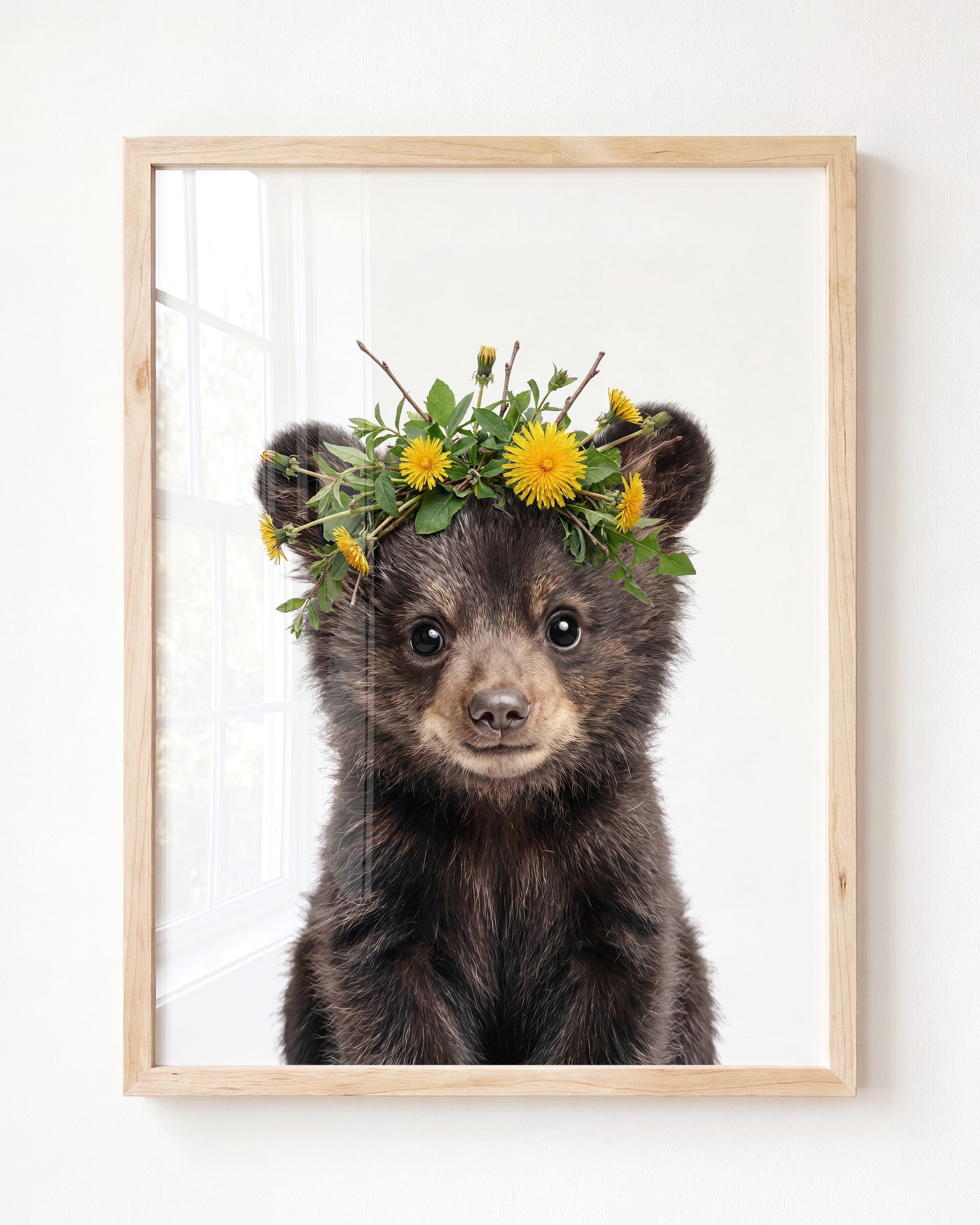 Baby Black Bear