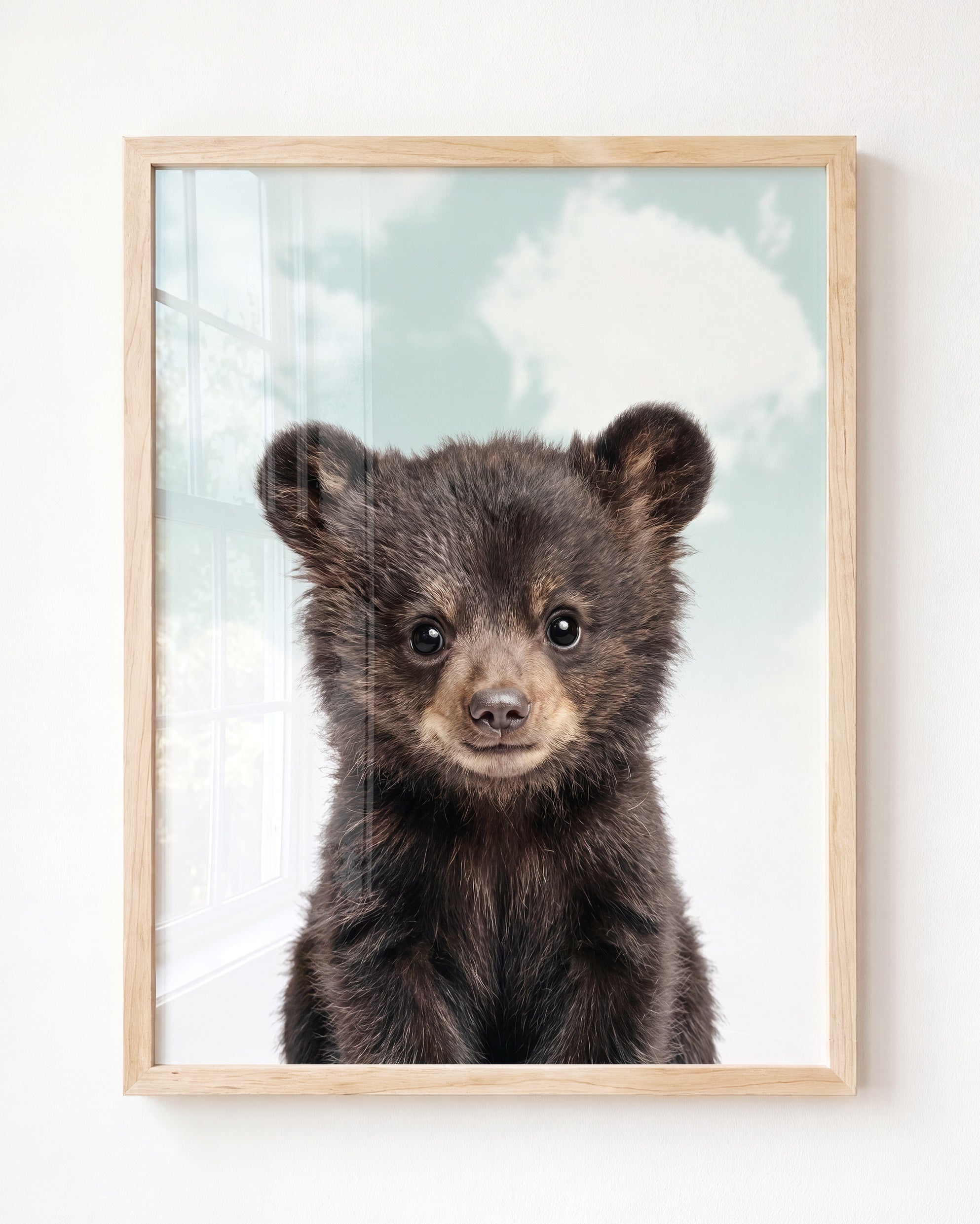 Baby Black Bear