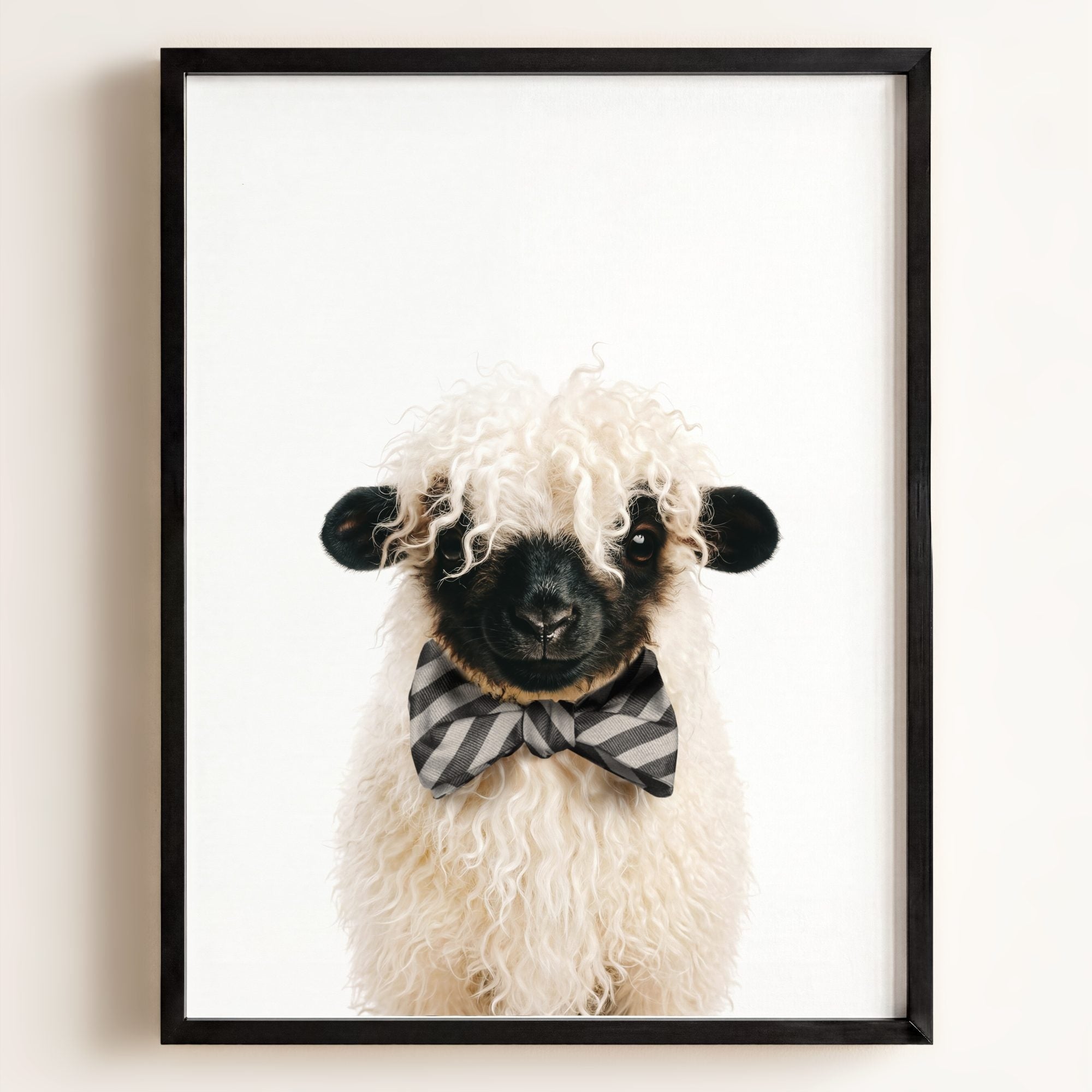 Baby Blacknose Sheep