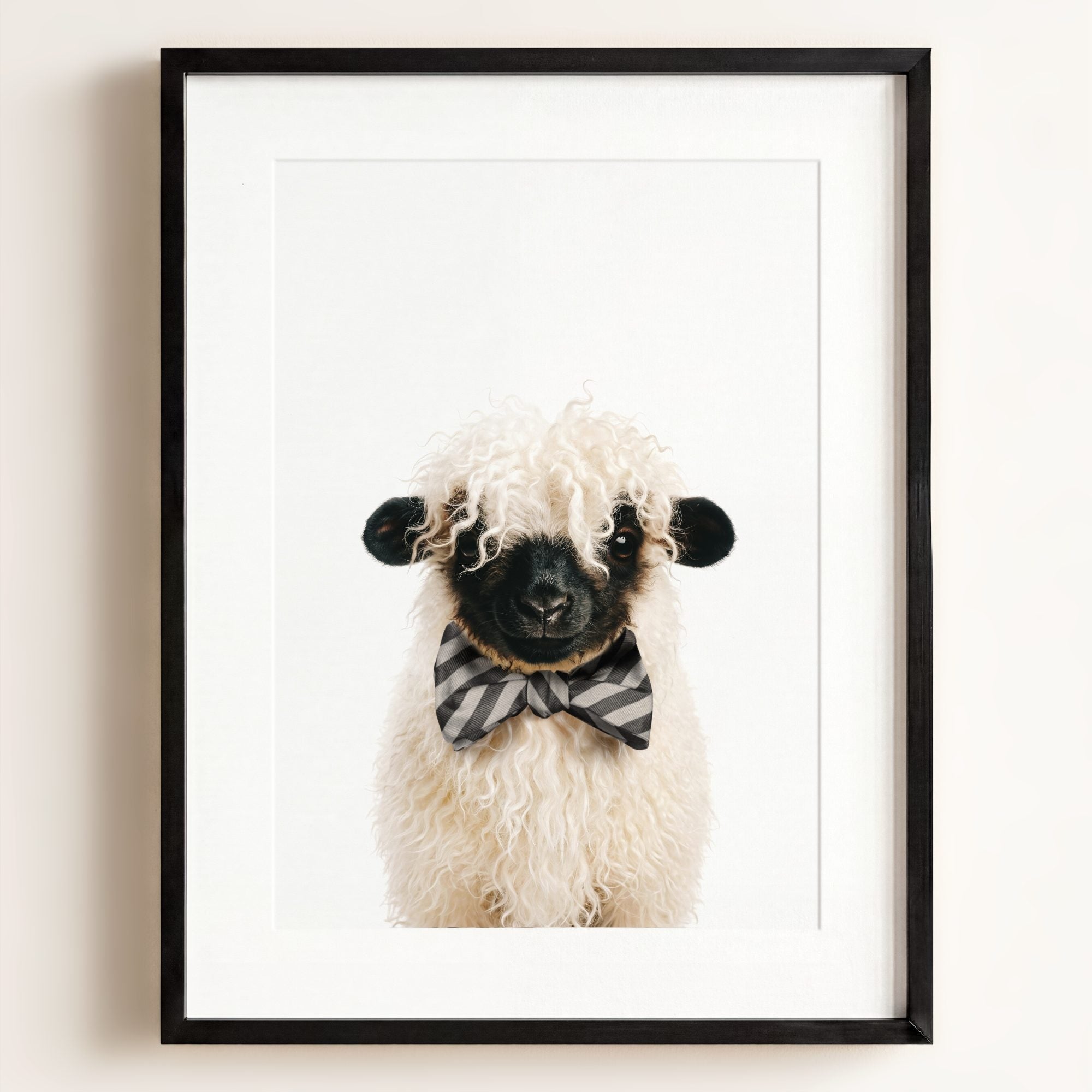 Baby Blacknose Sheep