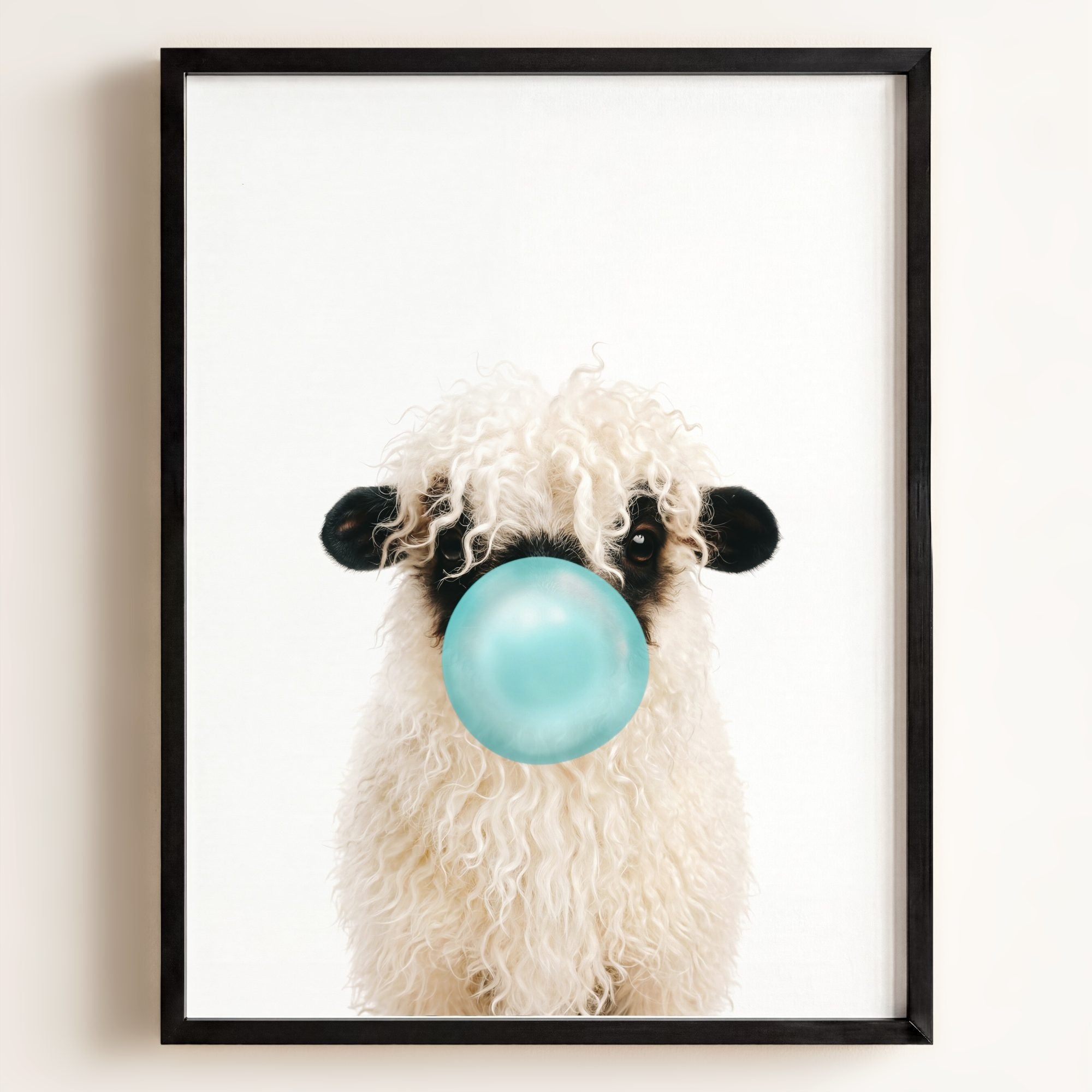 Baby Blacknose Sheep