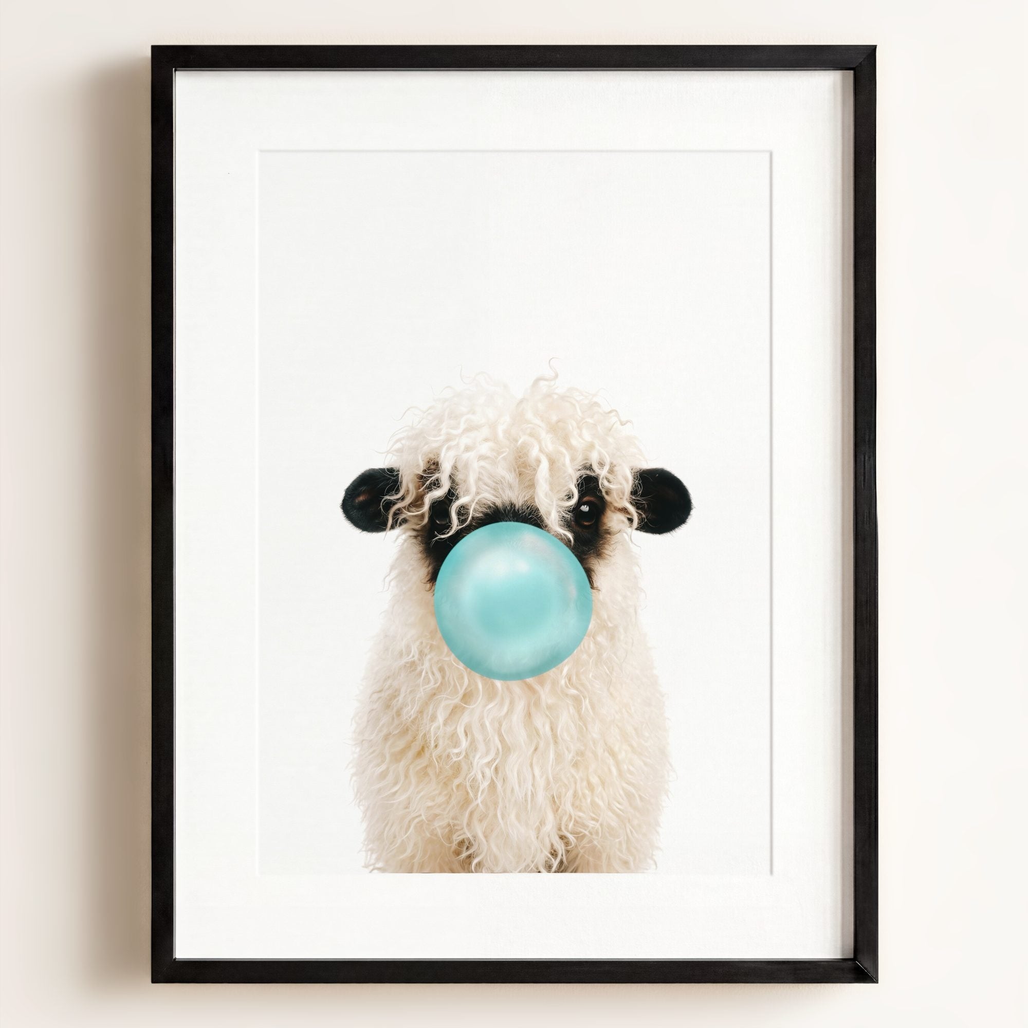 Baby Blacknose Sheep