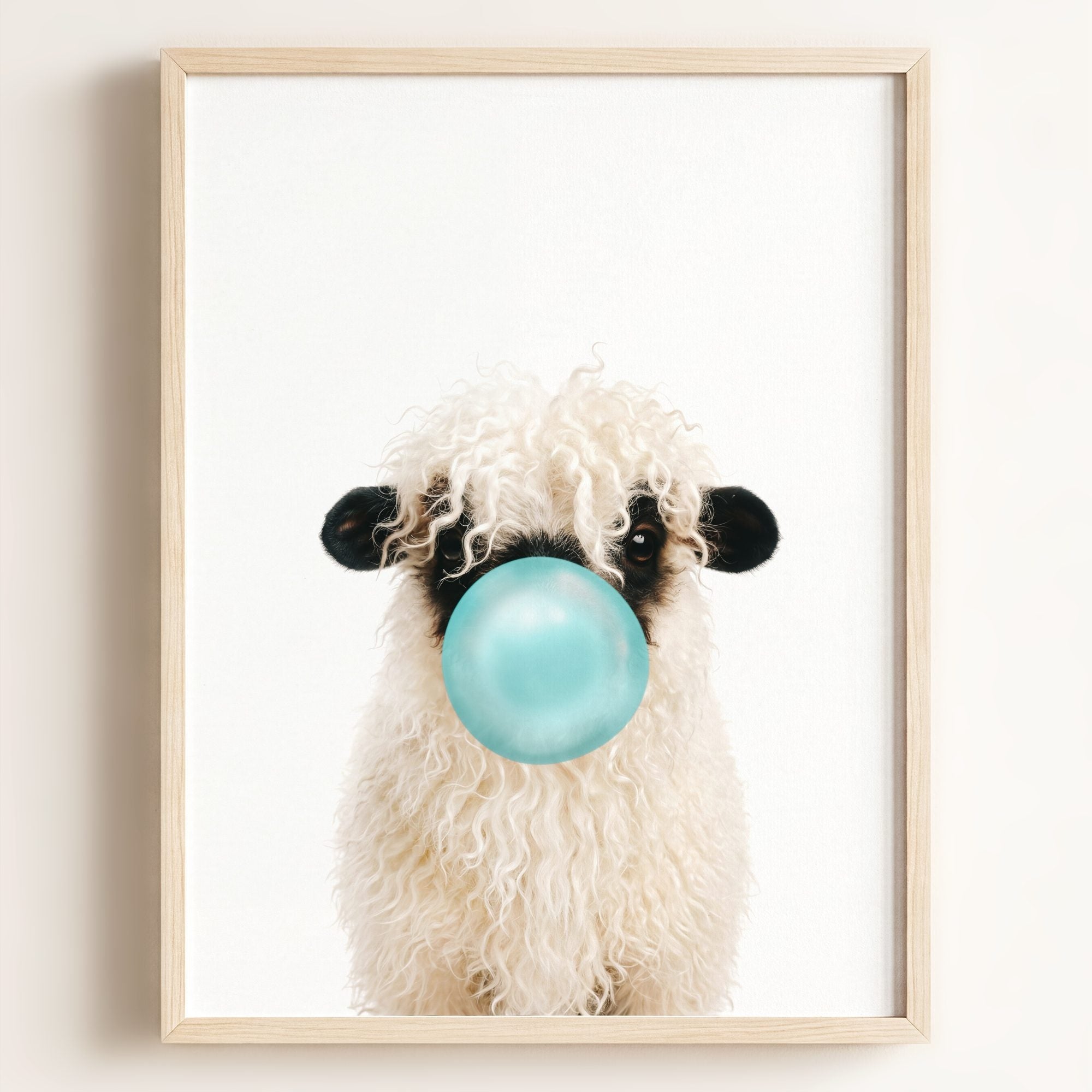 Baby Blacknose Sheep