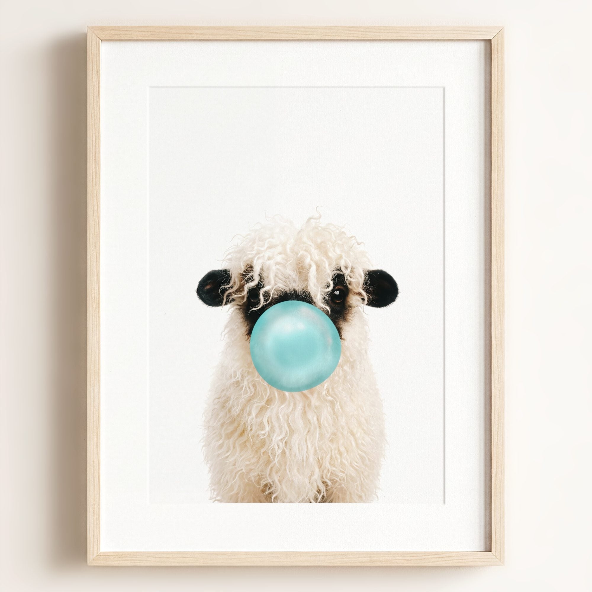 Baby Blacknose Sheep