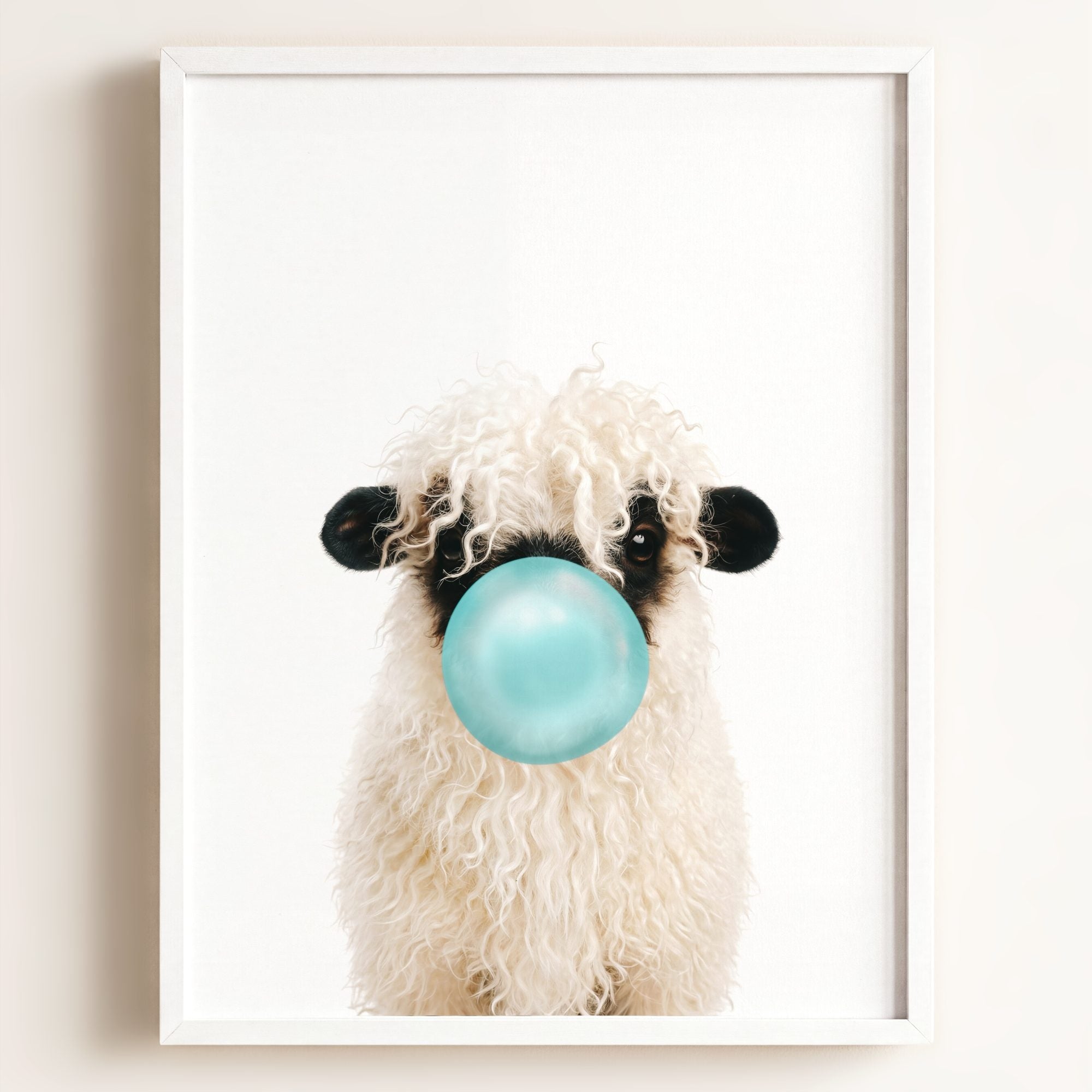 Baby Blacknose Sheep