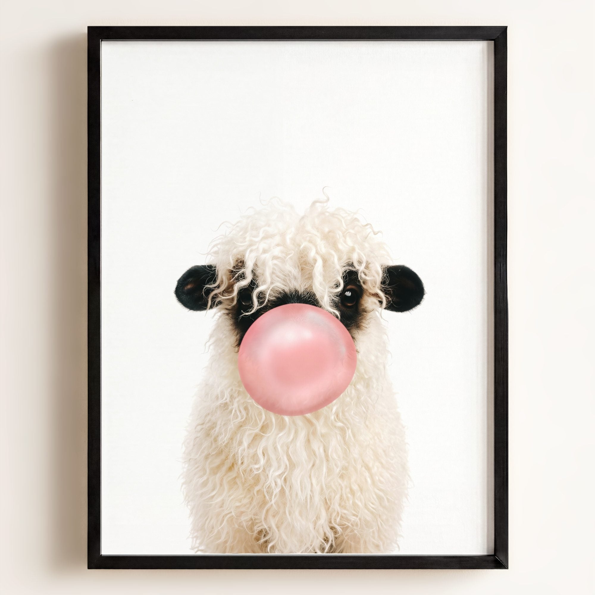 Baby Blacknose Sheep