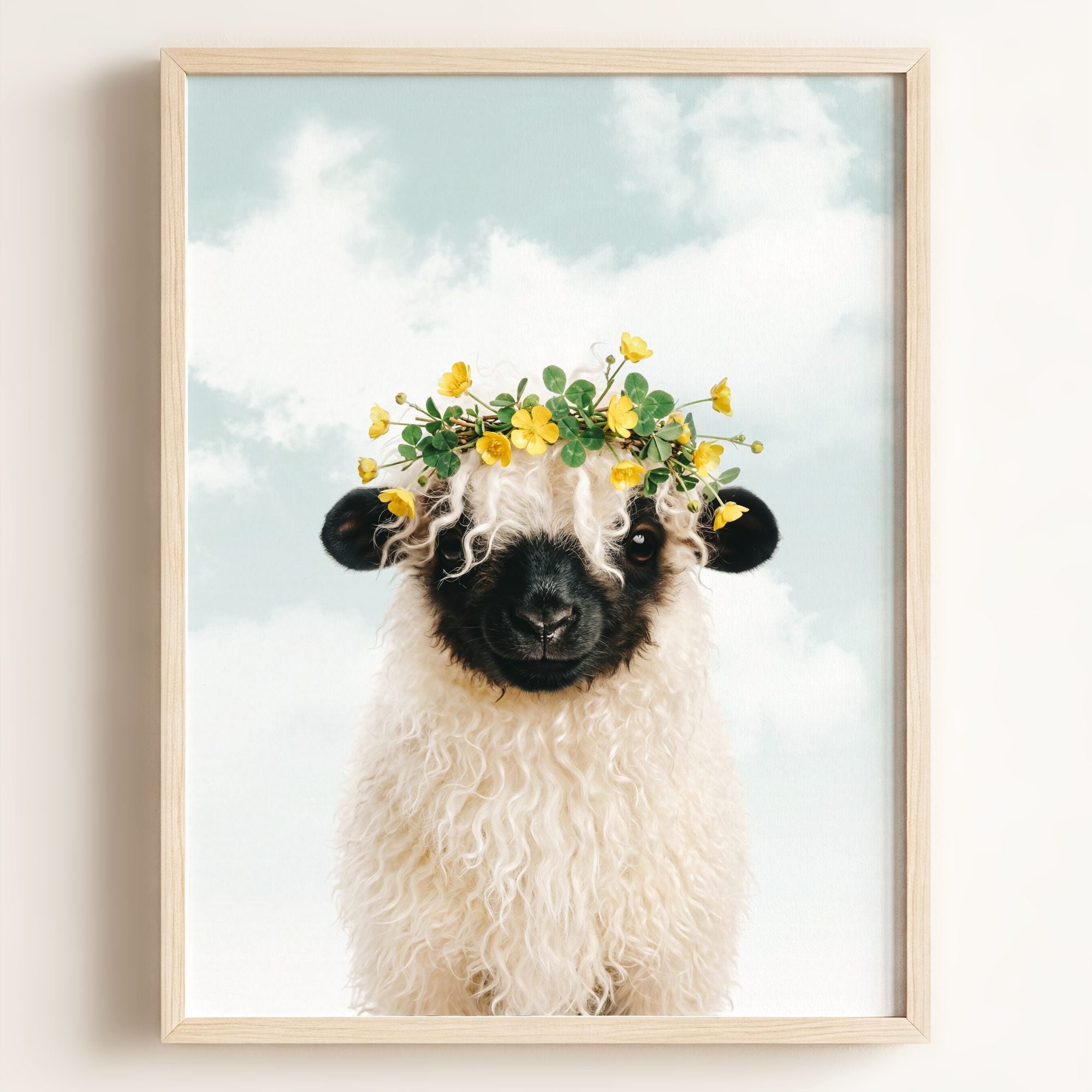 Baby Blacknose Sheep