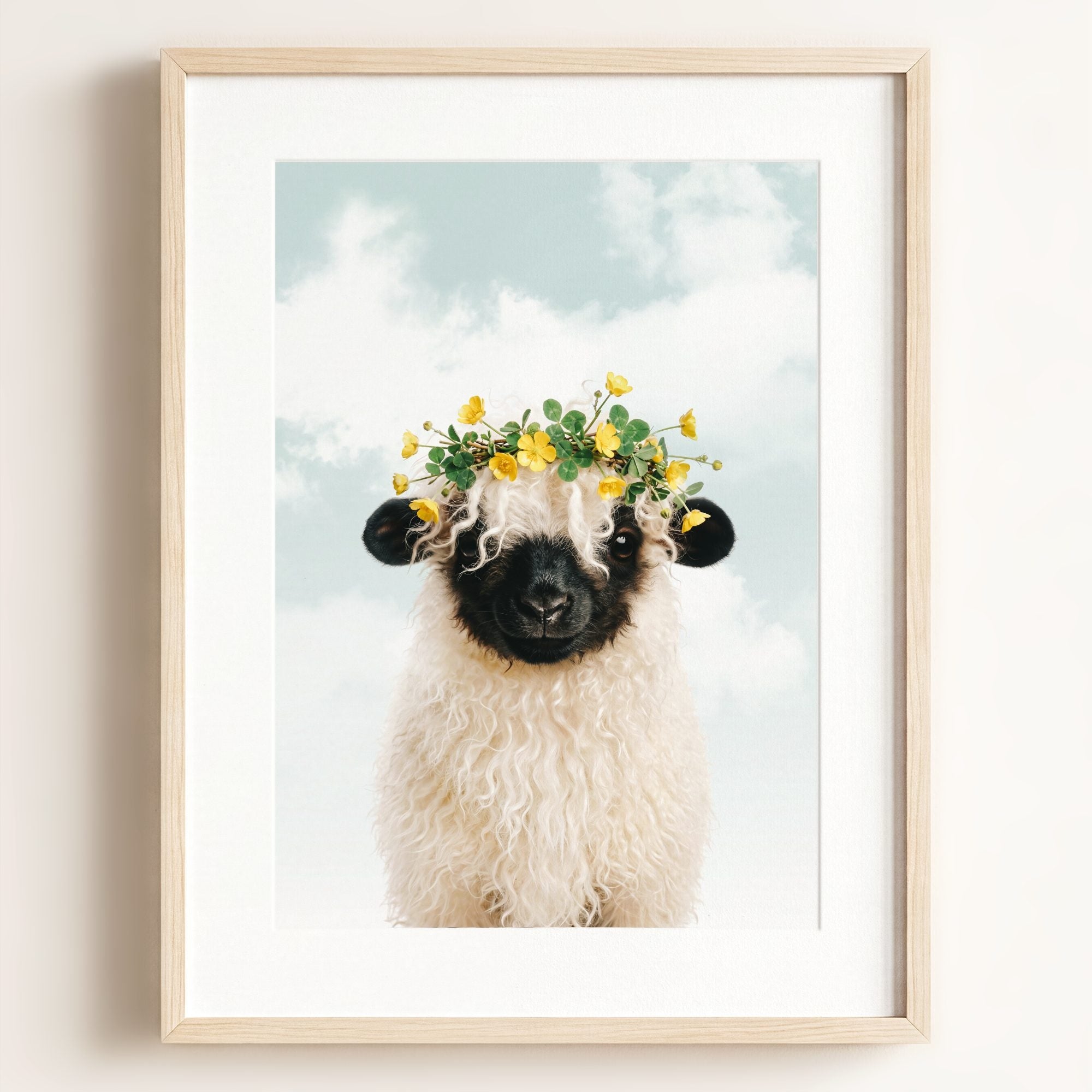 Baby Blacknose Sheep