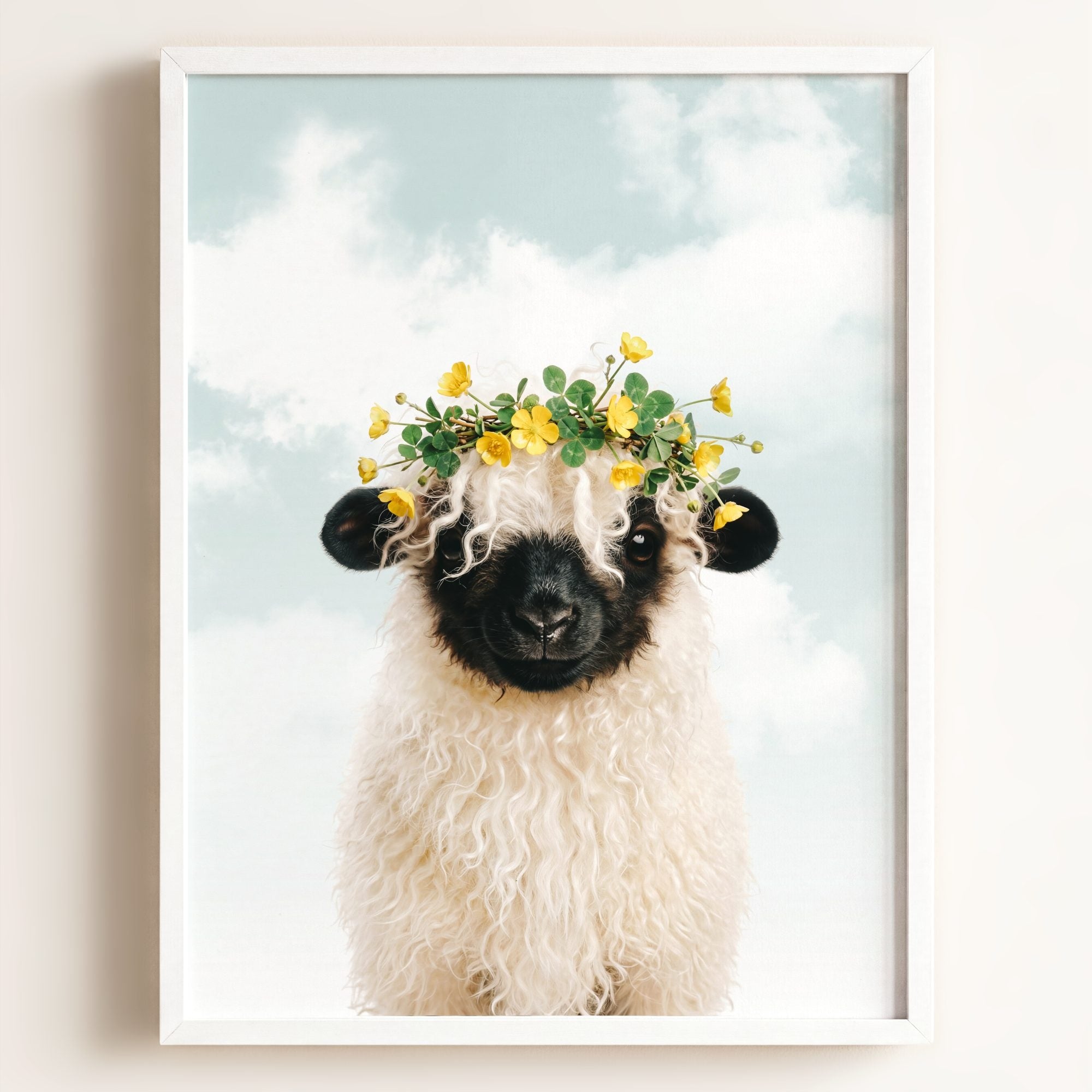 Baby Blacknose Sheep