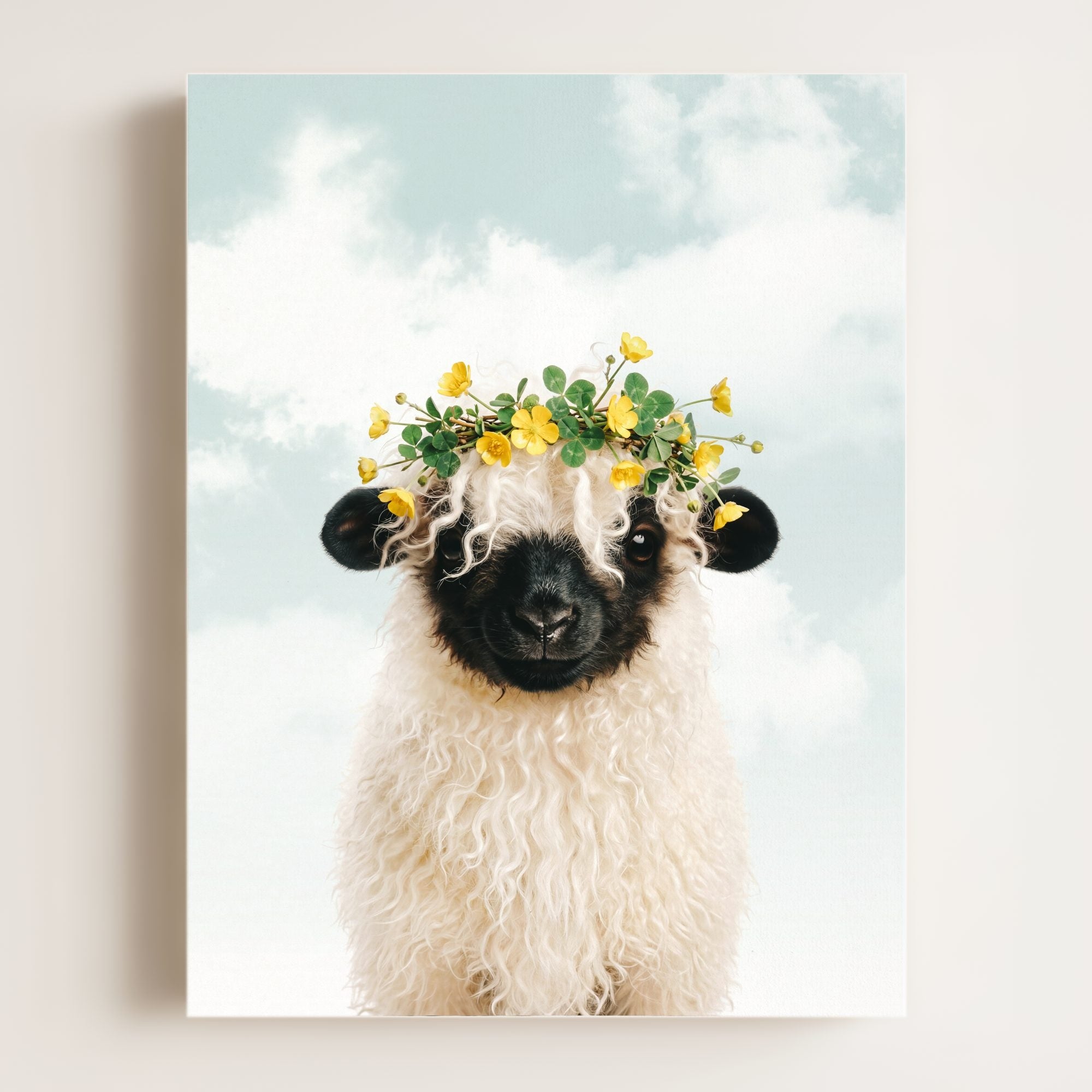 Baby Blacknose Sheep