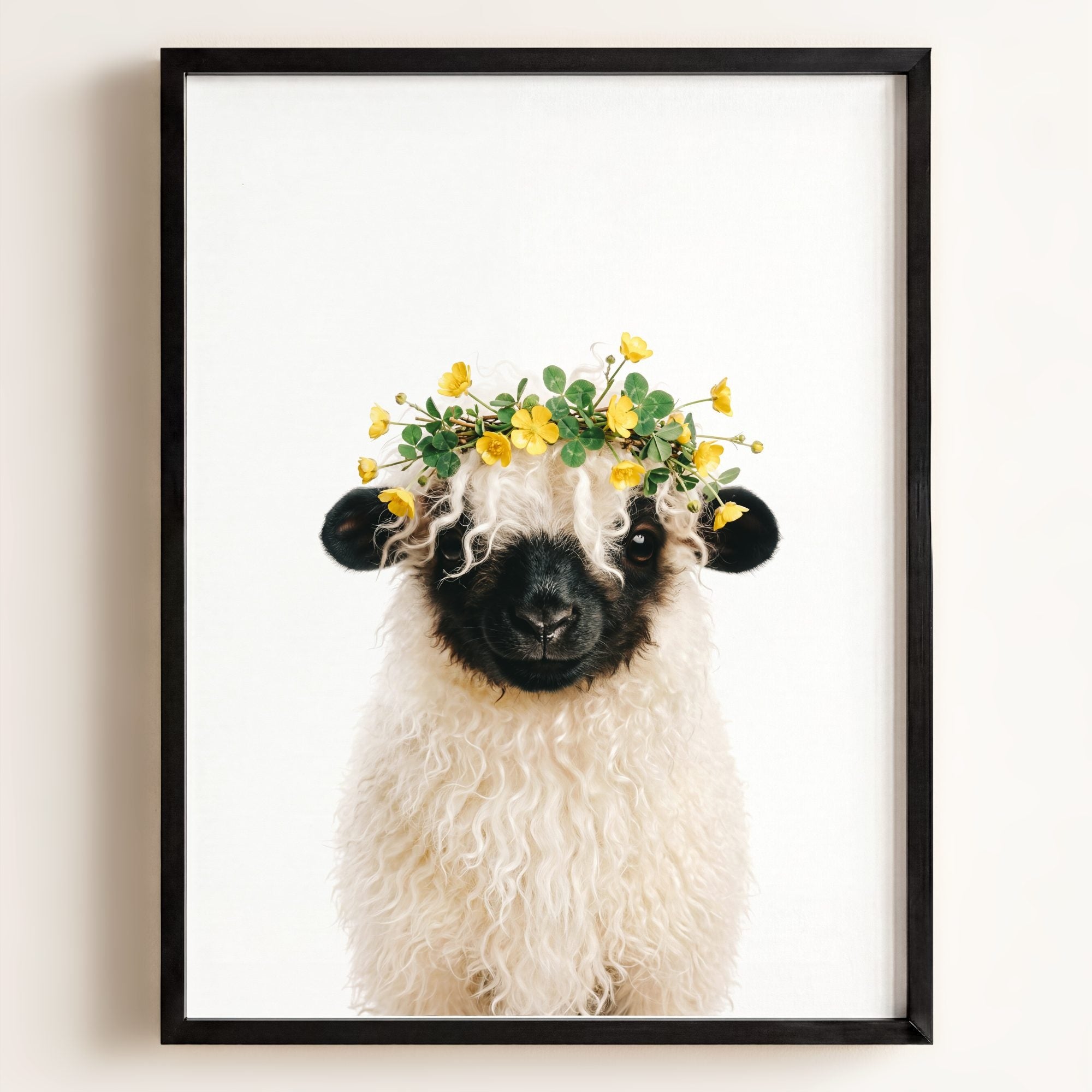 Baby Blacknose Sheep