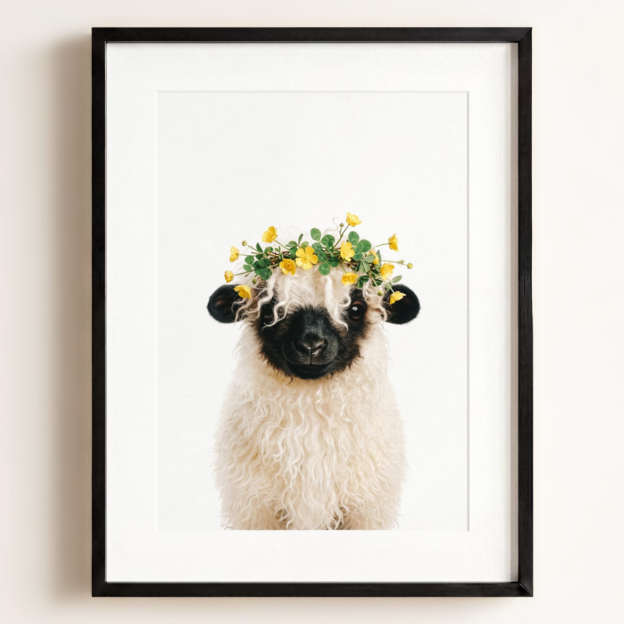 Baby Blacknose Sheep