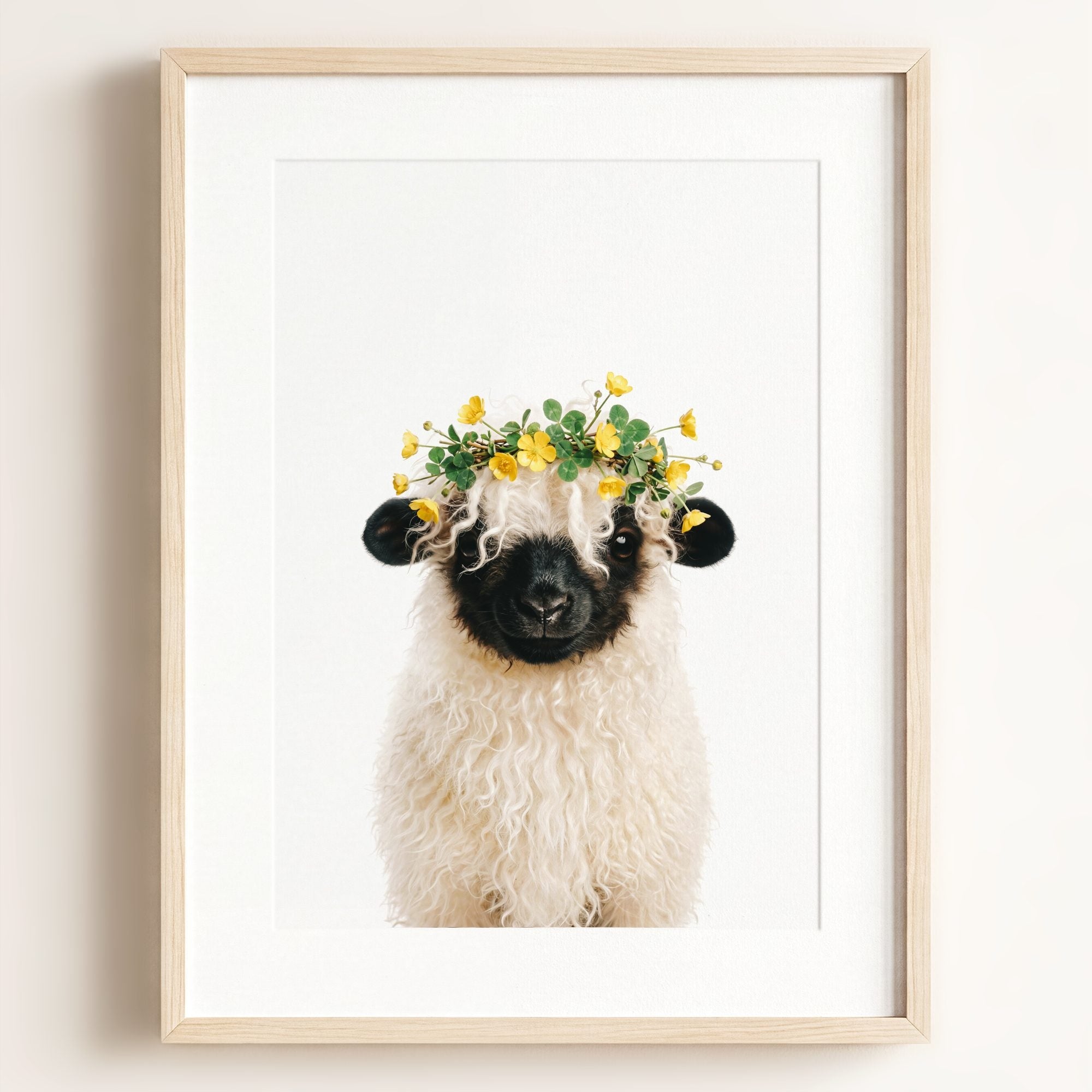 Baby Blacknose Sheep