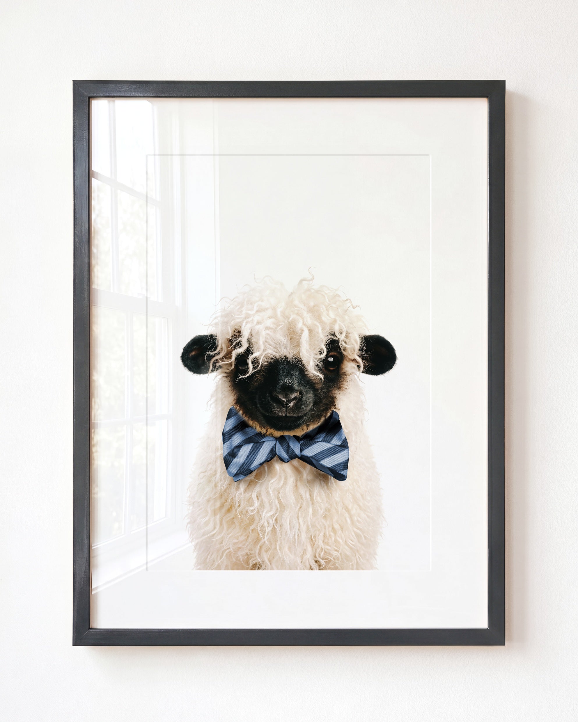 Baby Blacknose Sheep