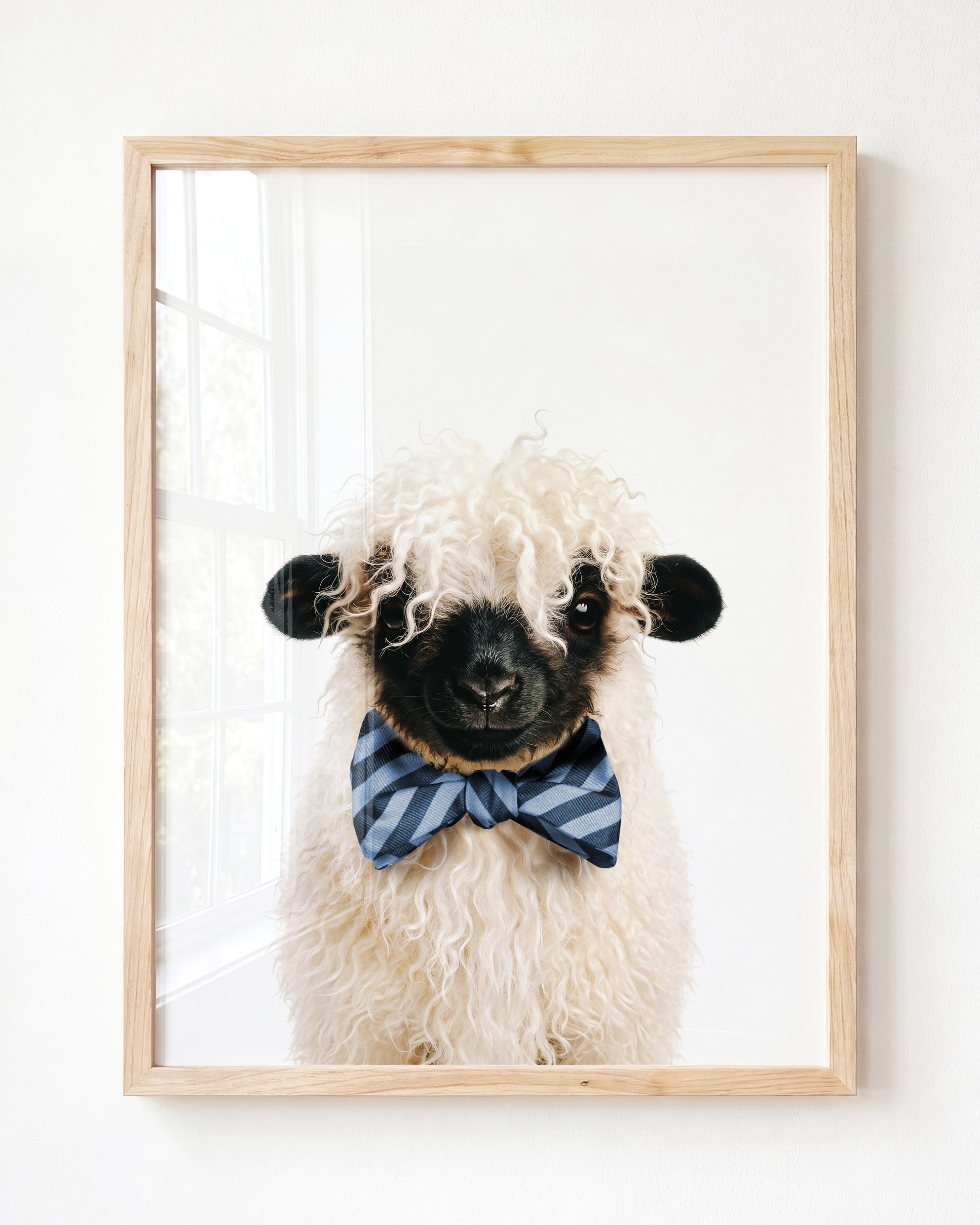 Baby Blacknose Sheep
