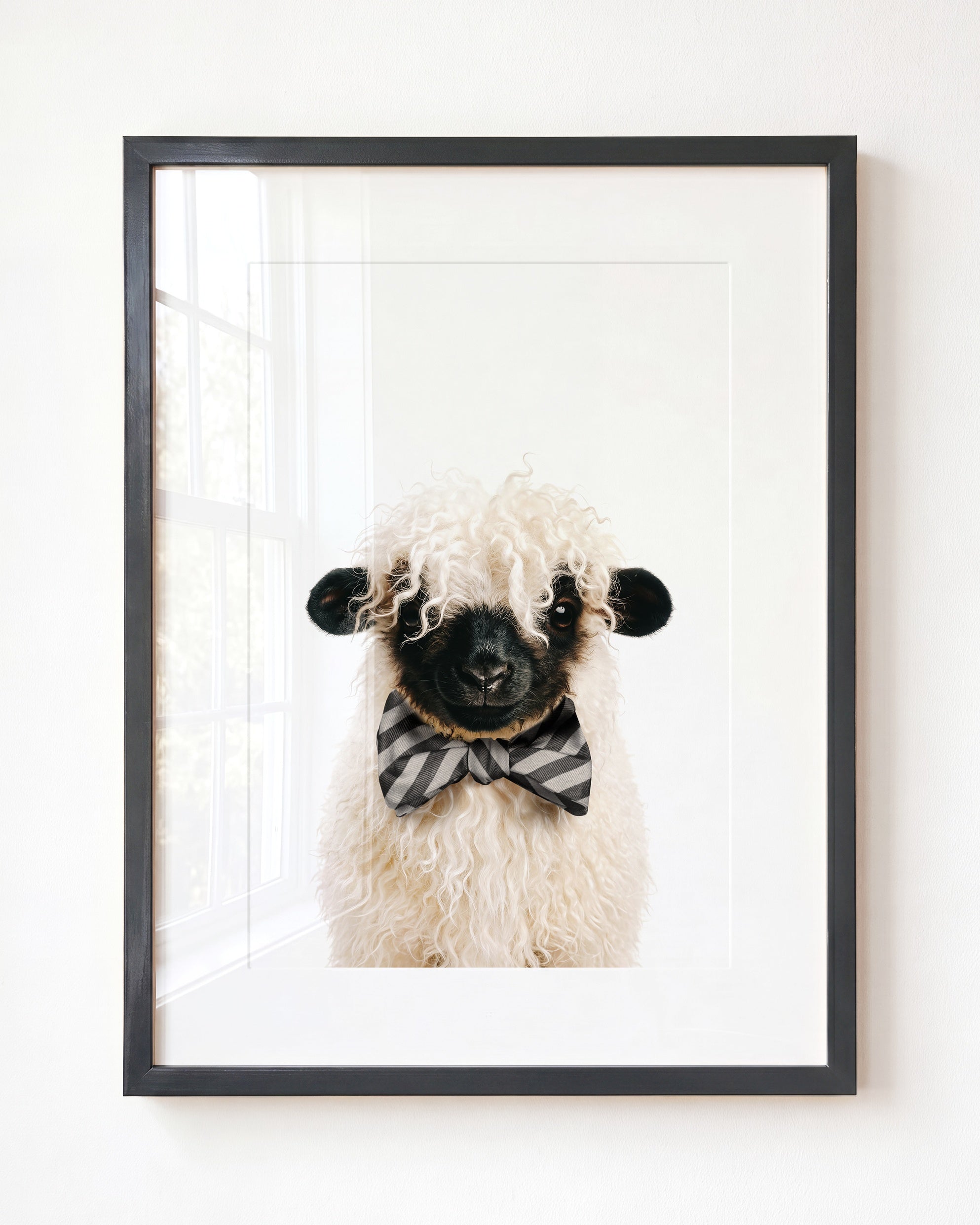 Baby Blacknose Sheep
