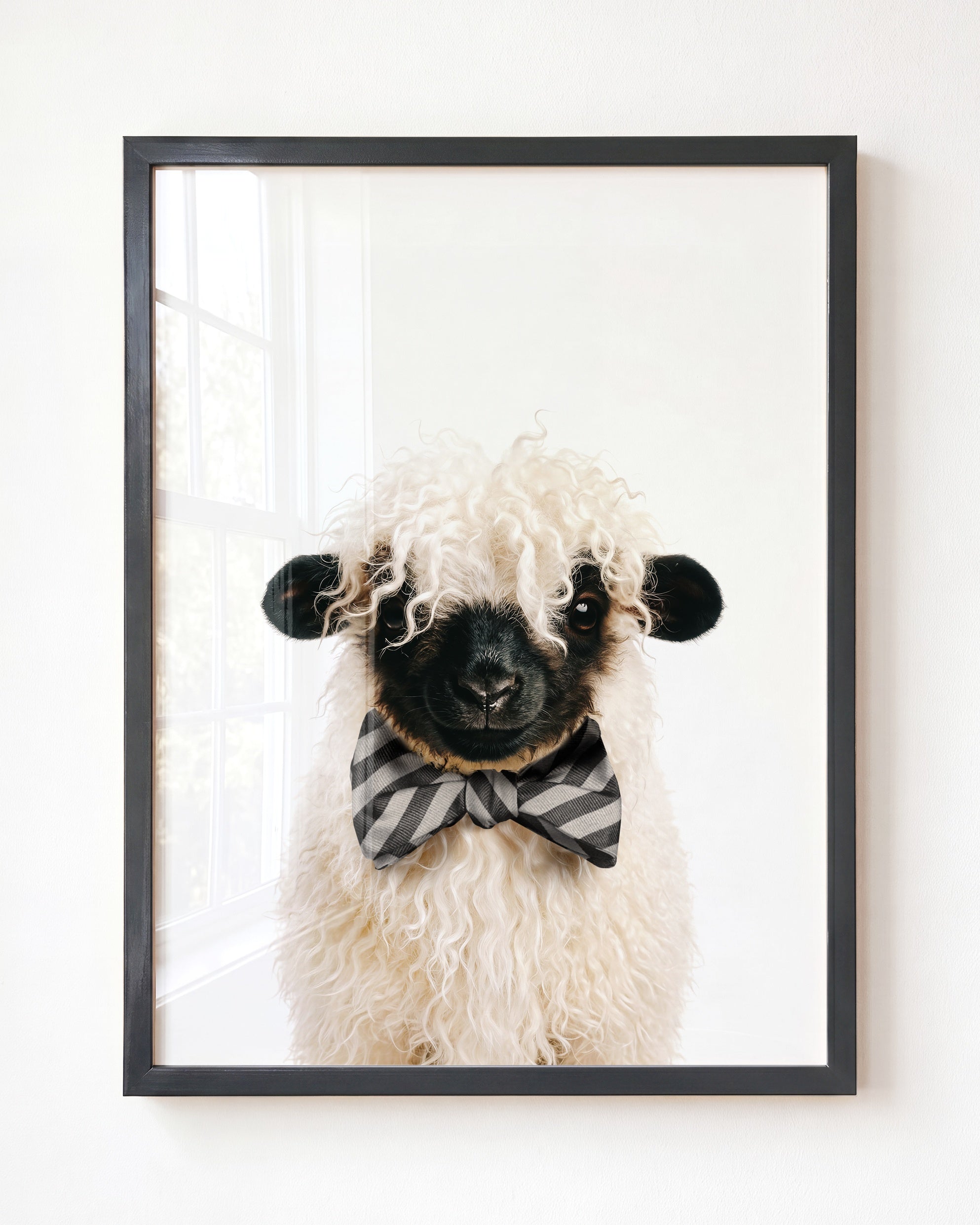 Baby Blacknose Sheep