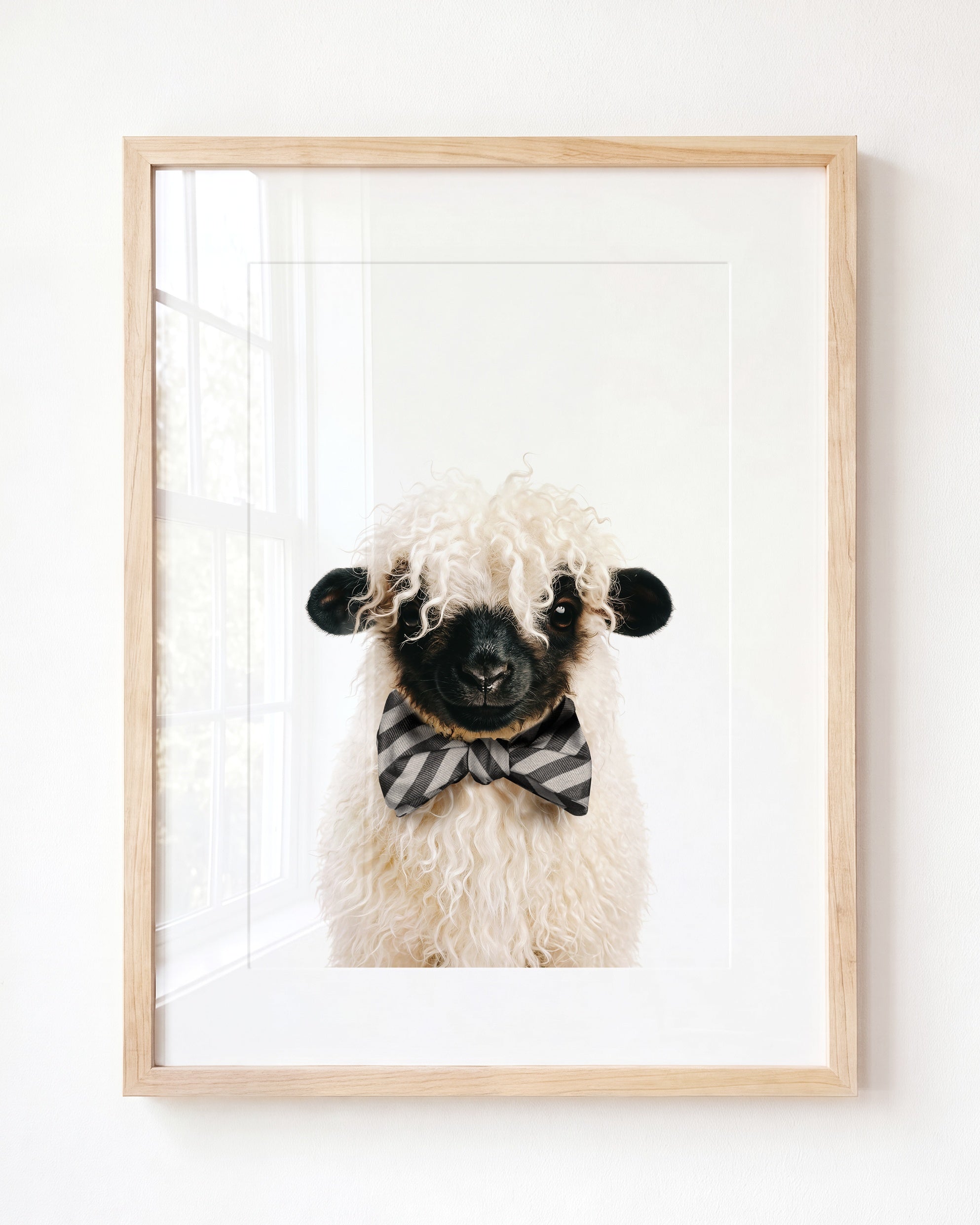 Baby Blacknose Sheep