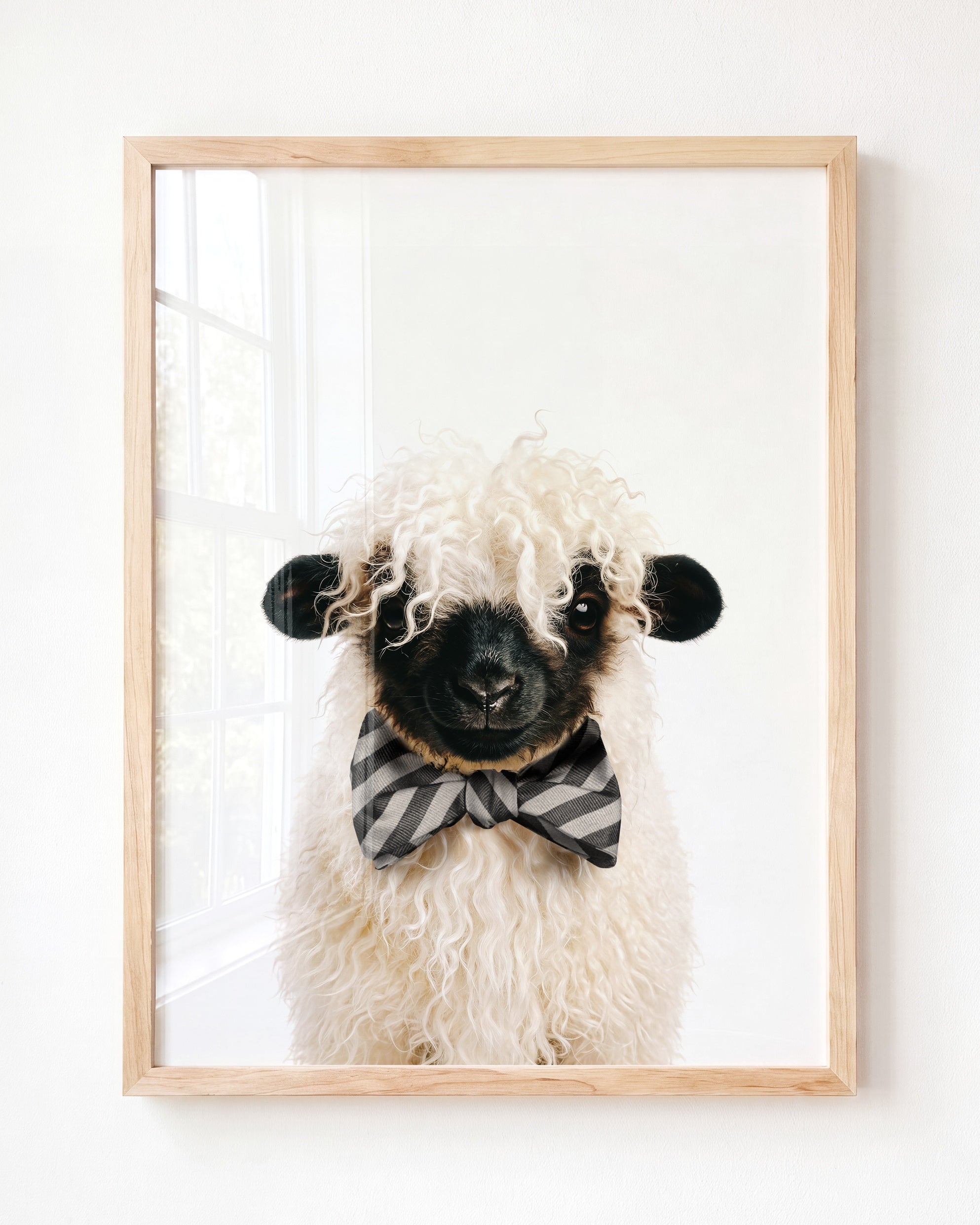 Baby Blacknose Sheep
