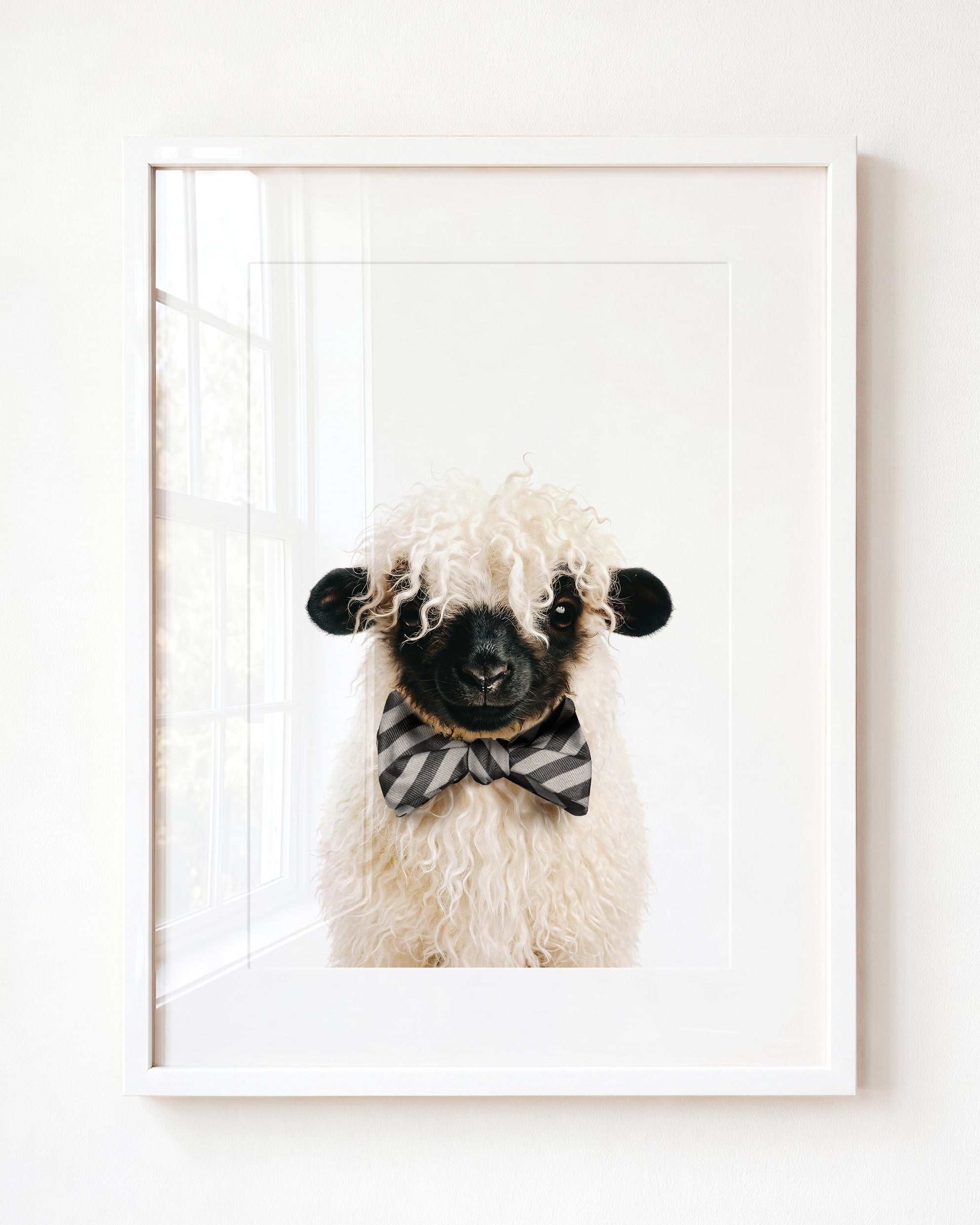 Baby Blacknose Sheep