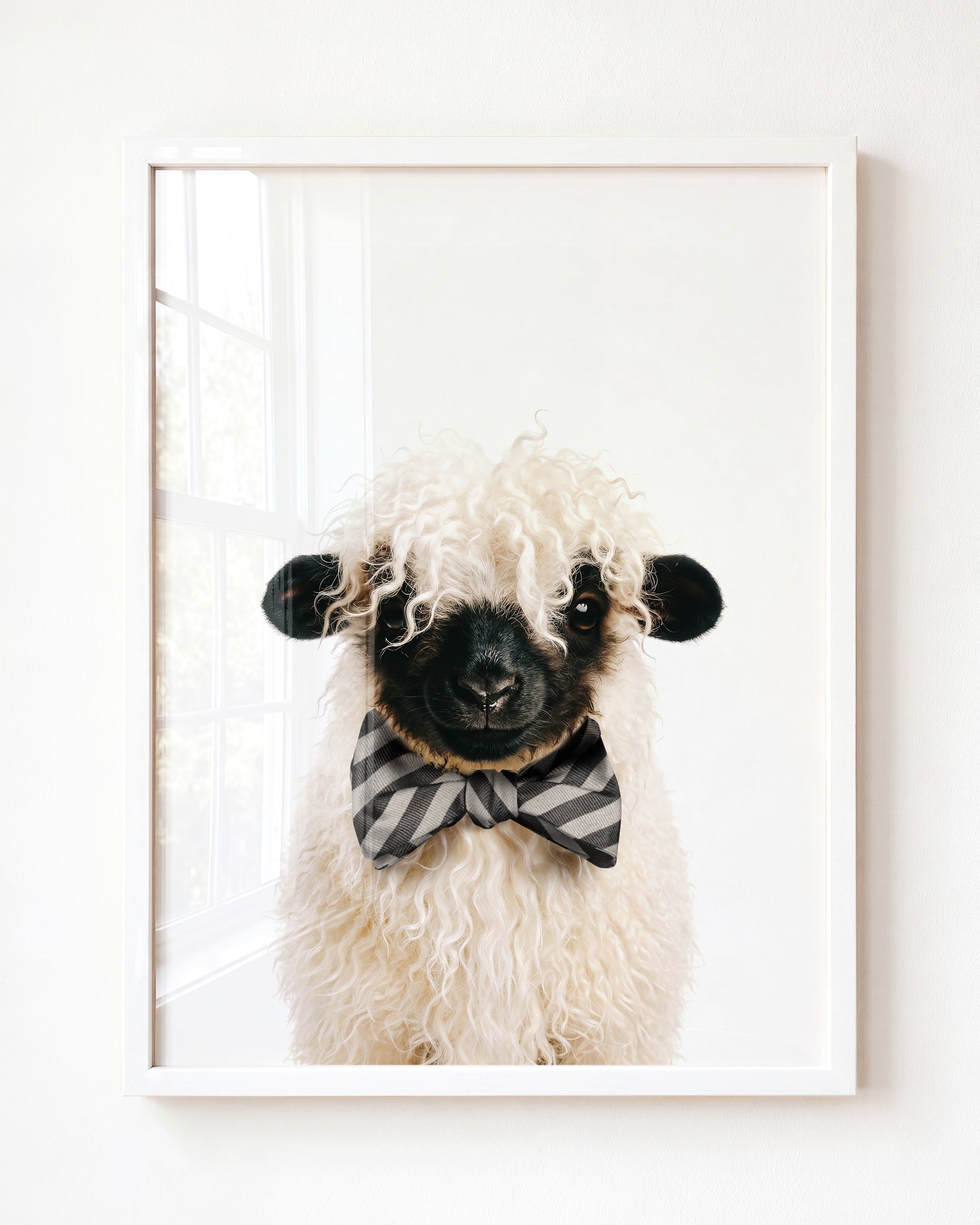 Baby Blacknose Sheep