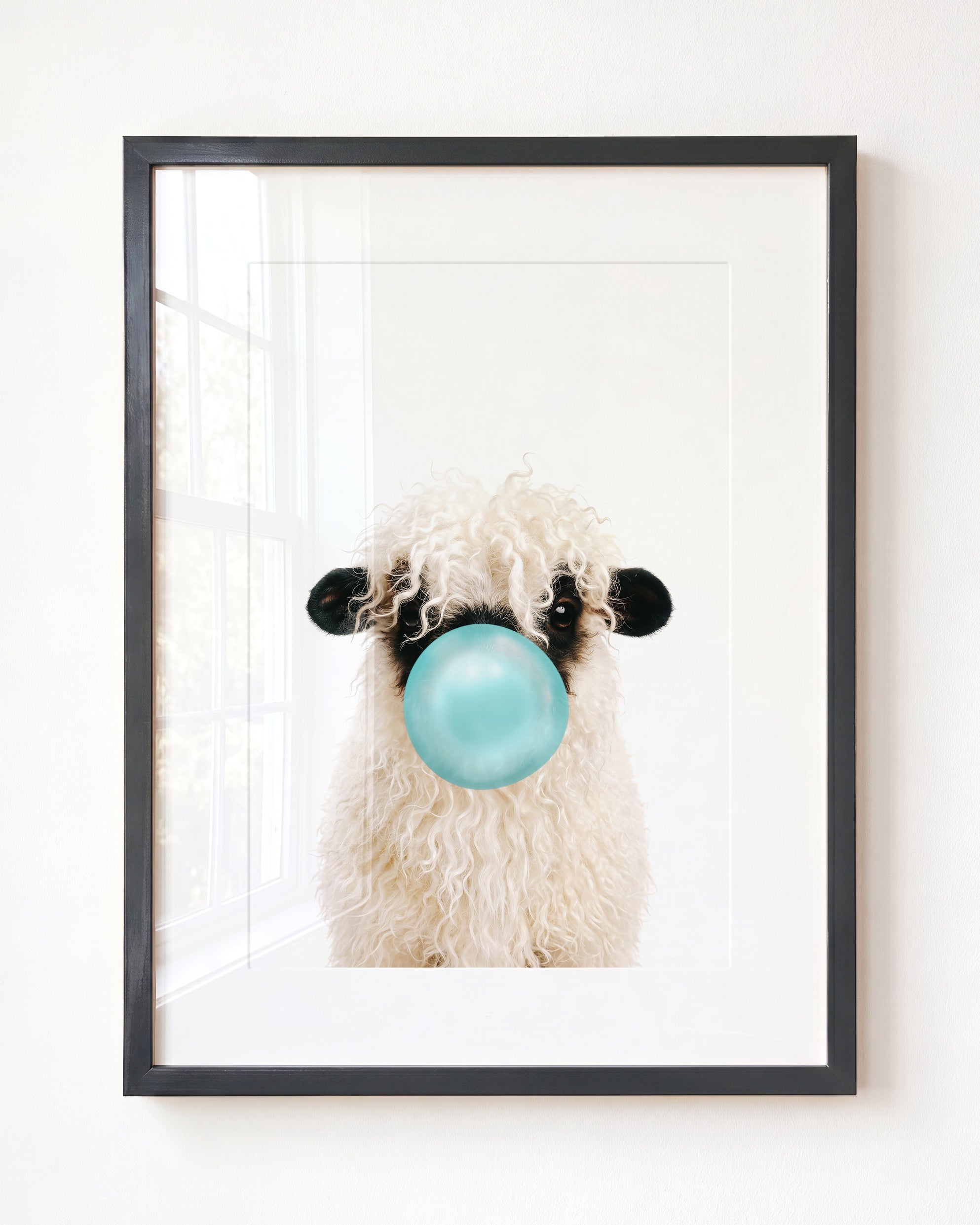 Baby Blacknose Sheep