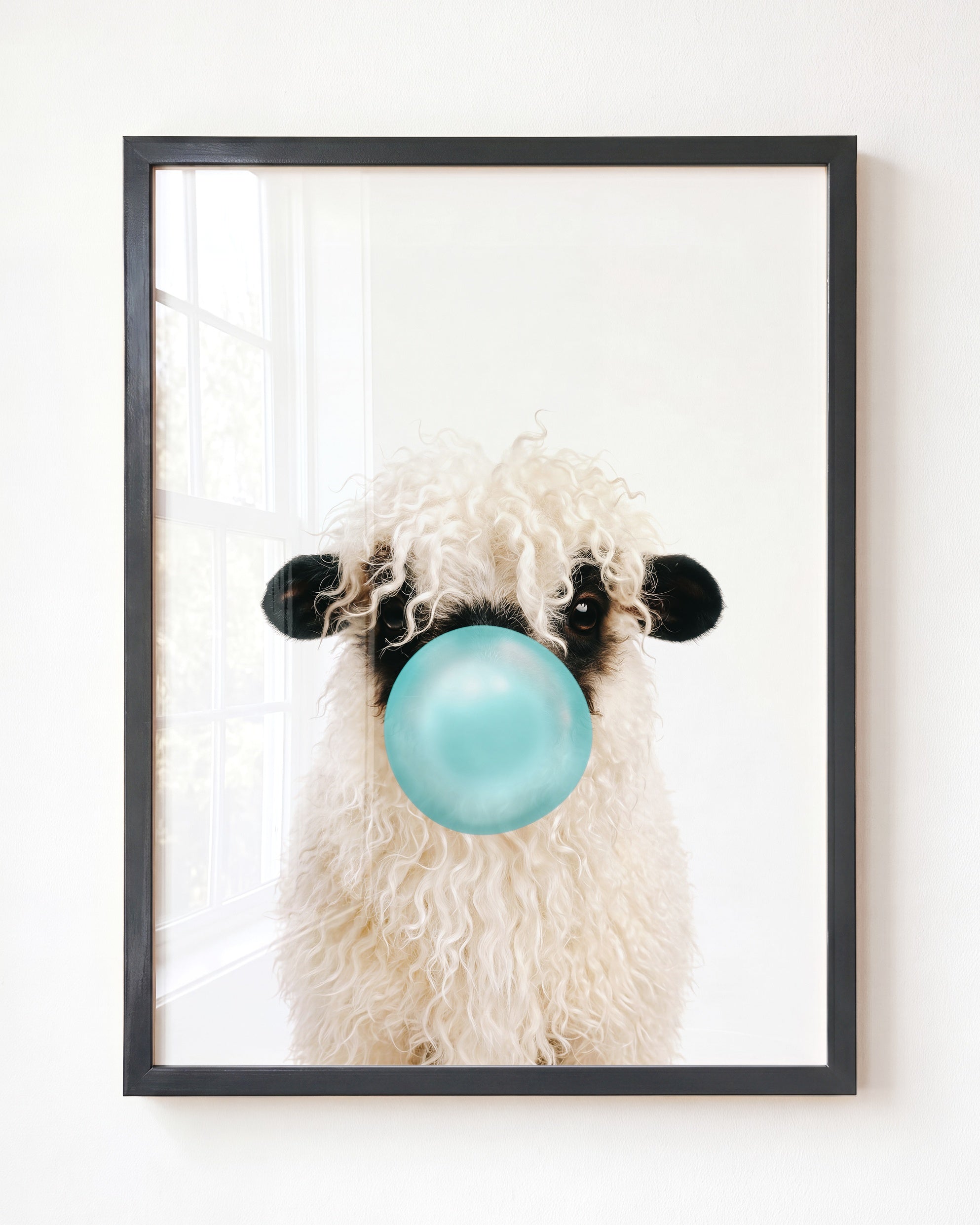 Baby Blacknose Sheep
