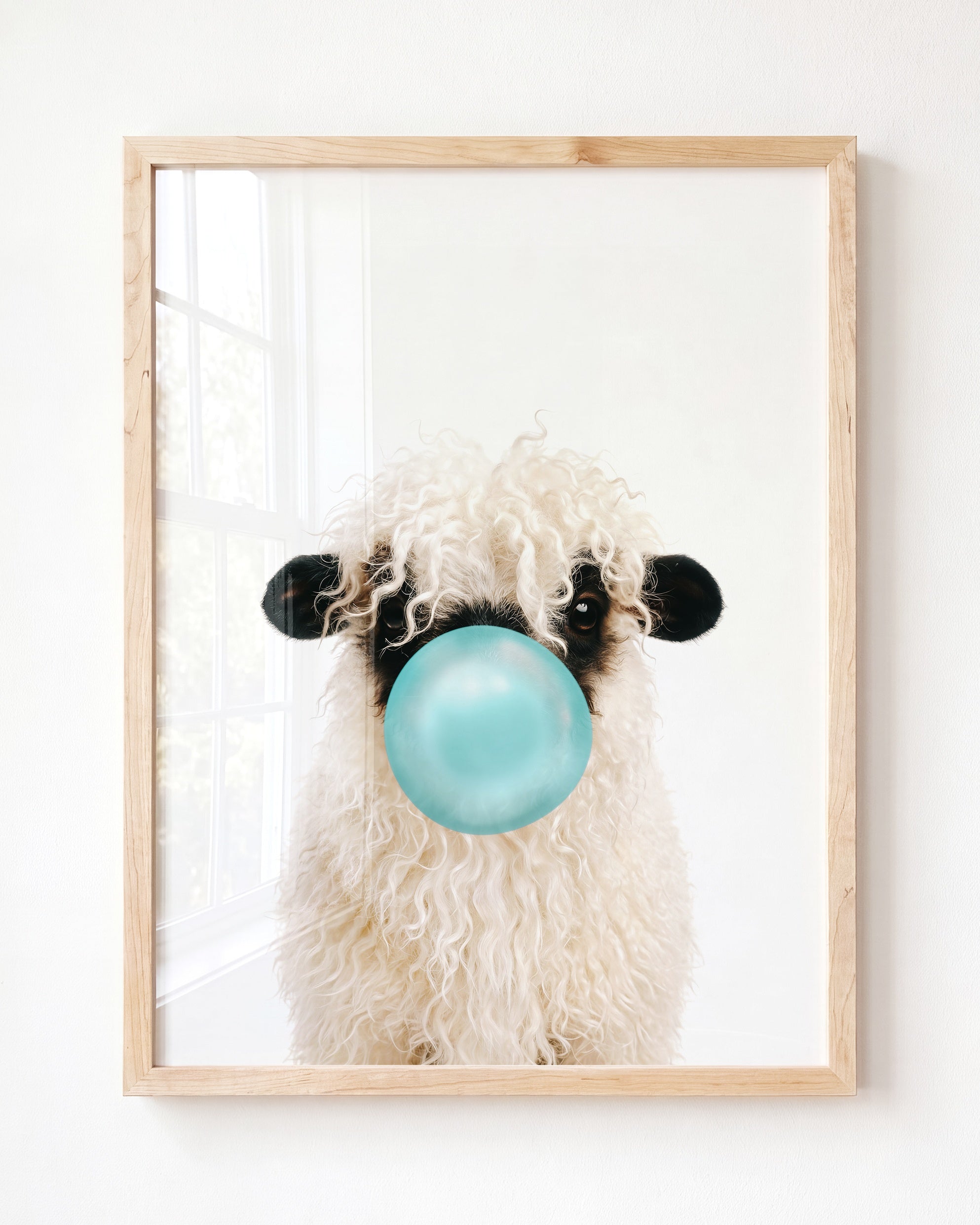Baby Blacknose Sheep