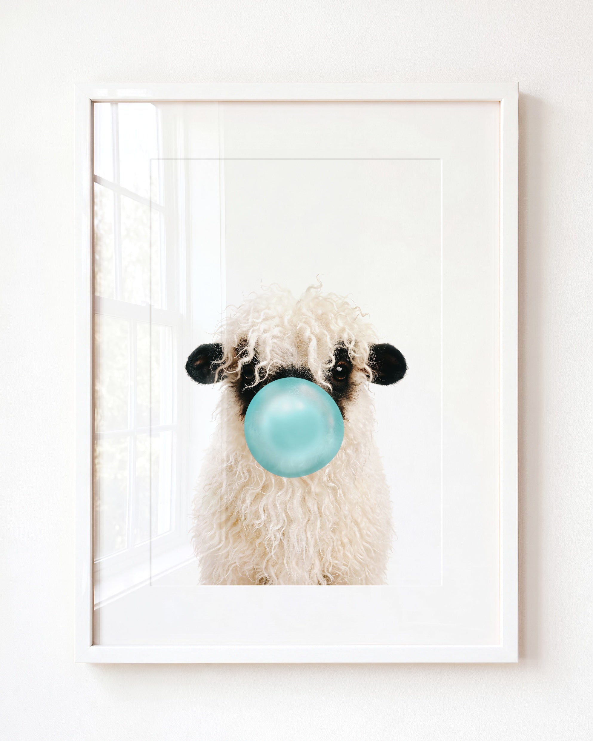 Baby Blacknose Sheep