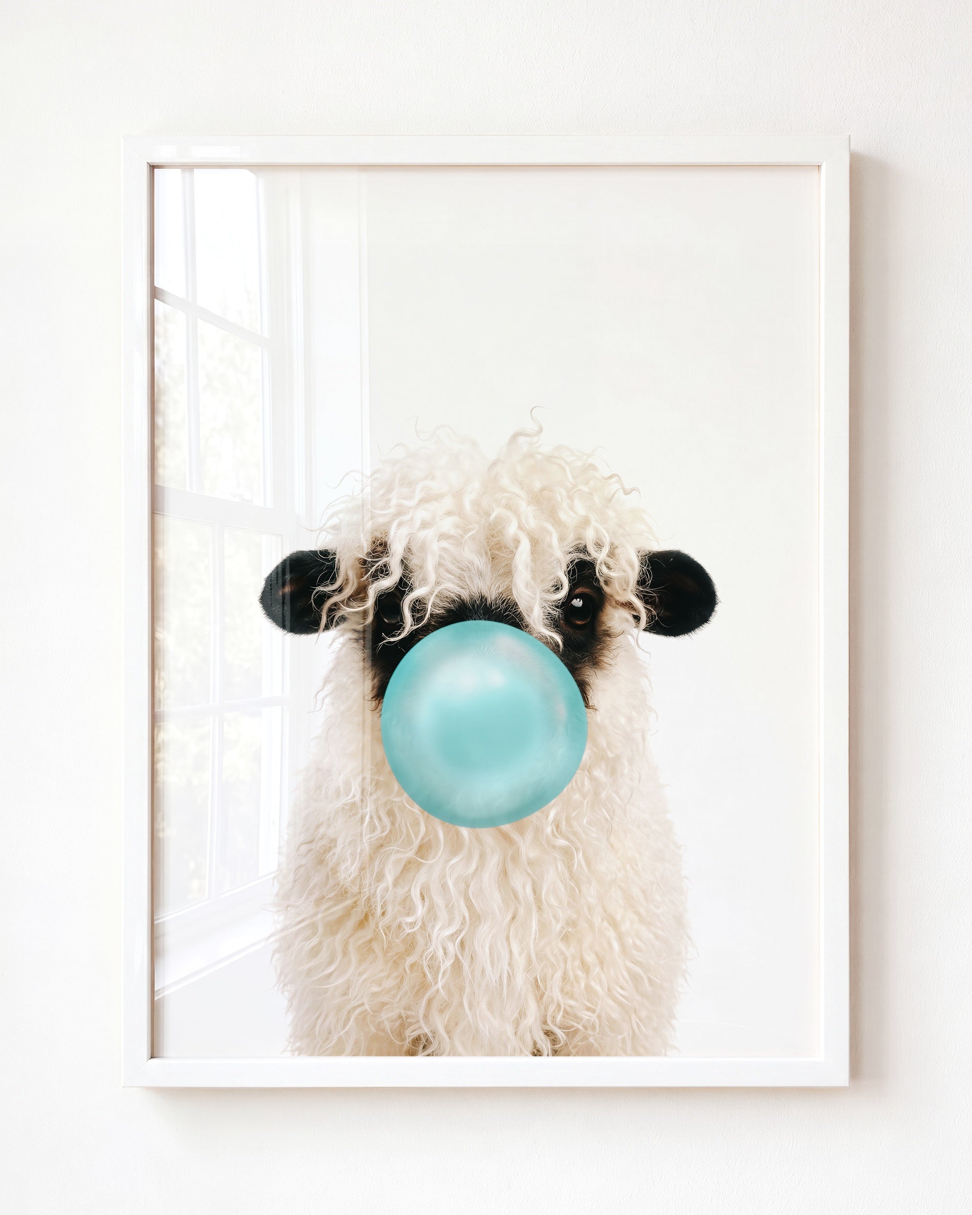Baby Blacknose Sheep