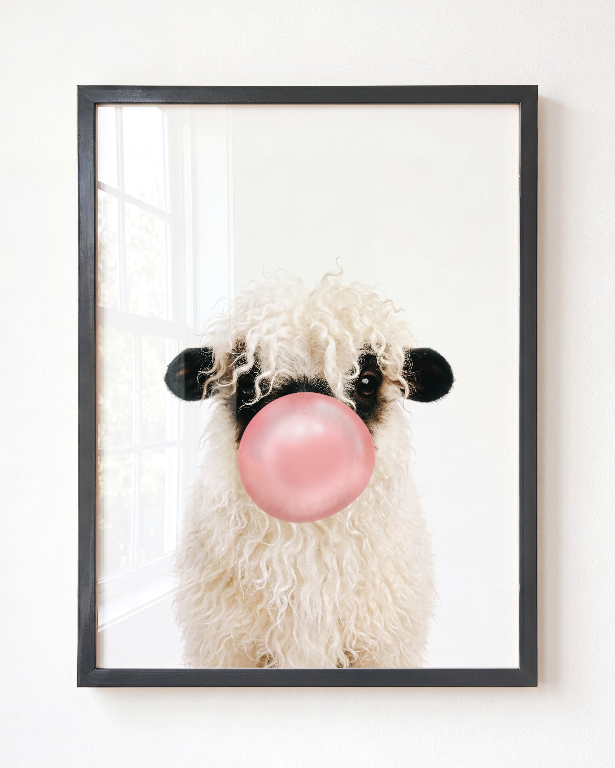 Baby Blacknose Sheep