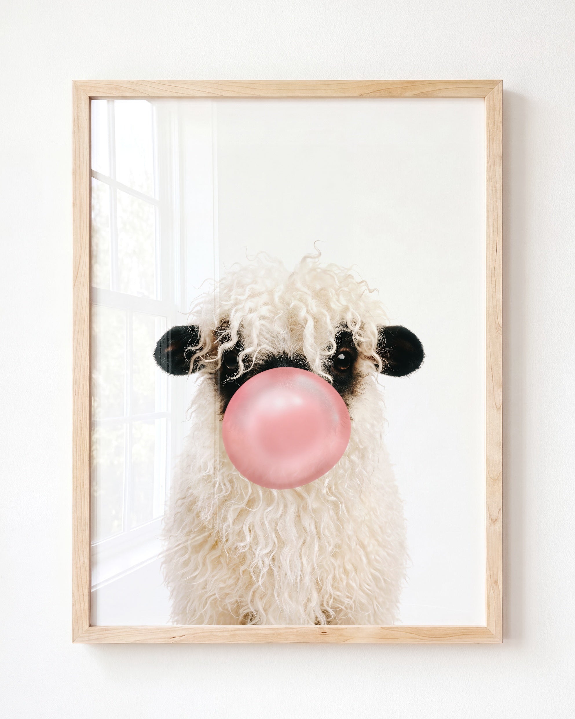 Baby Blacknose Sheep