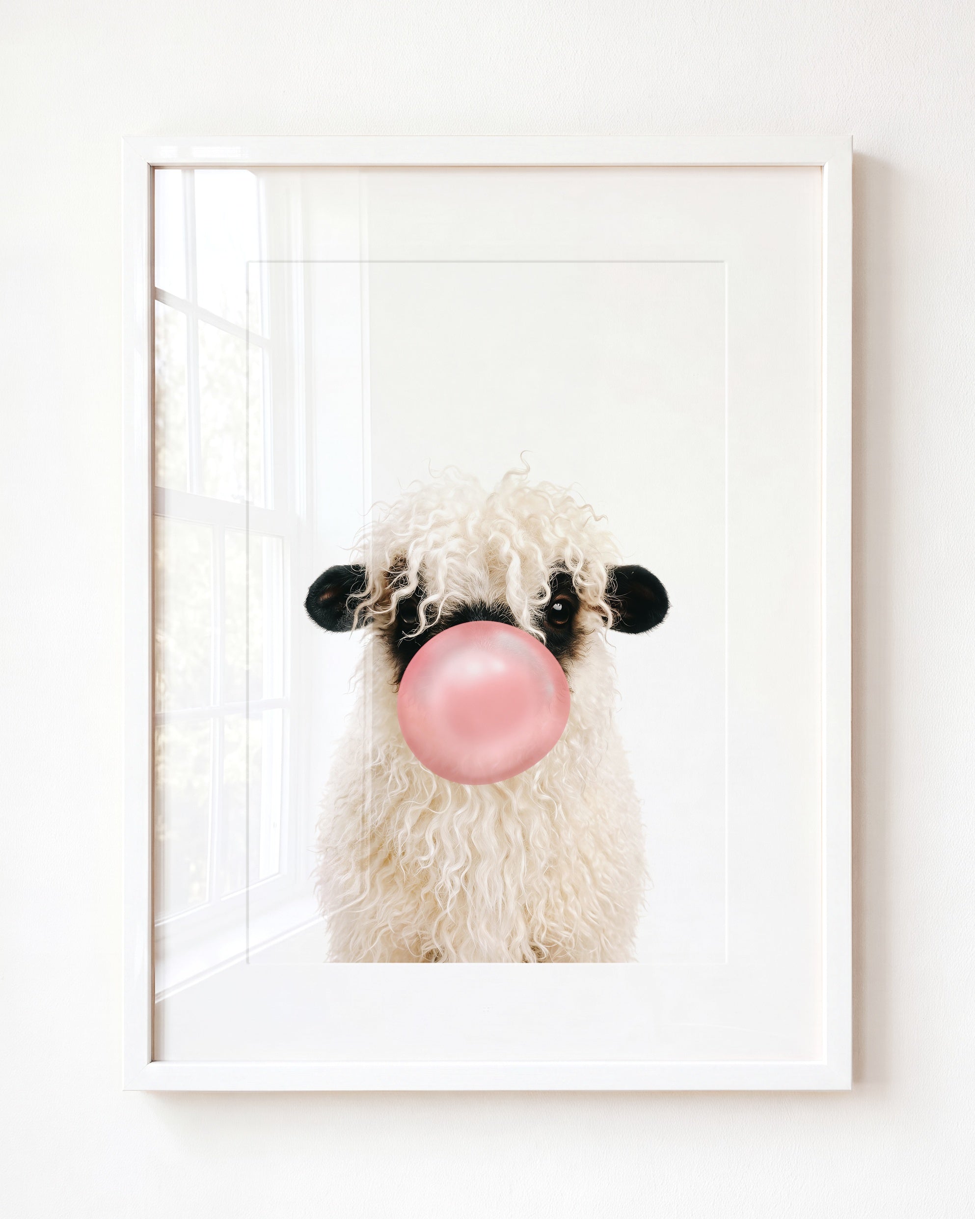 Baby Blacknose Sheep
