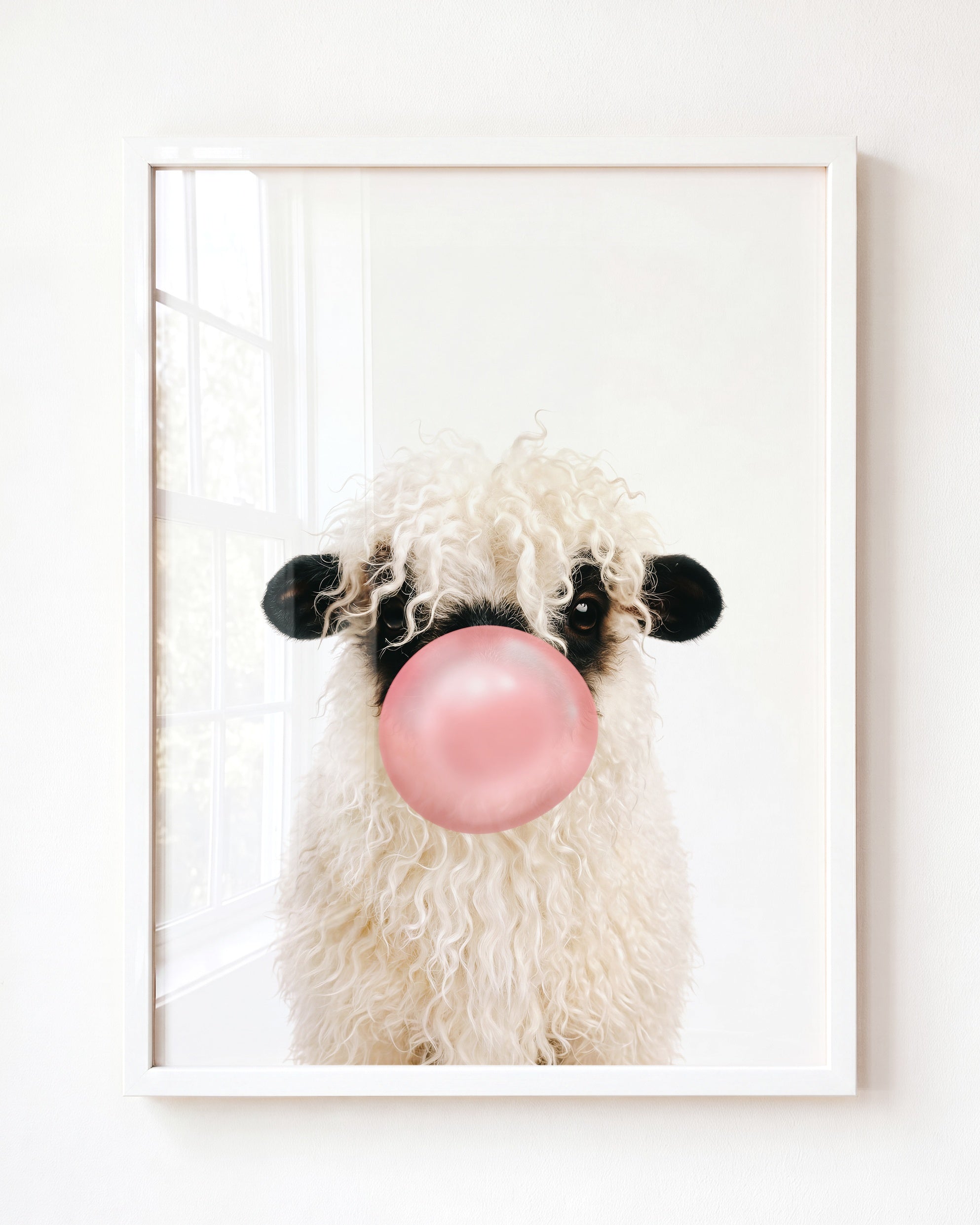 Baby Blacknose Sheep