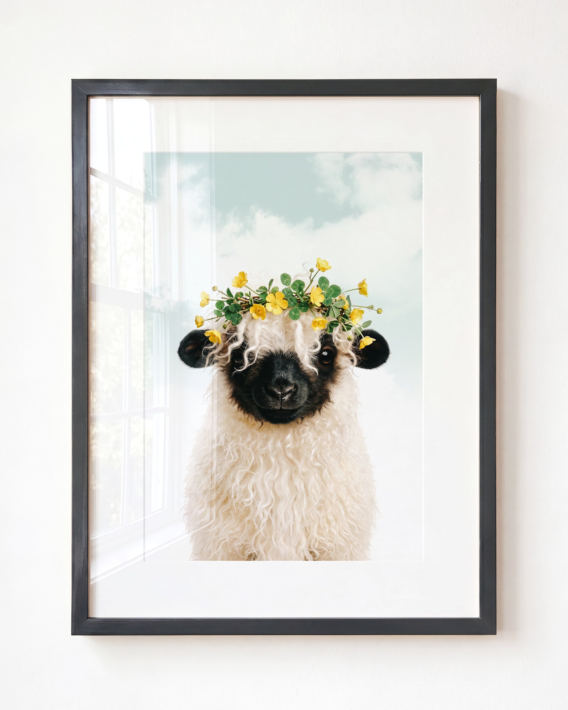 Baby Blacknose Sheep