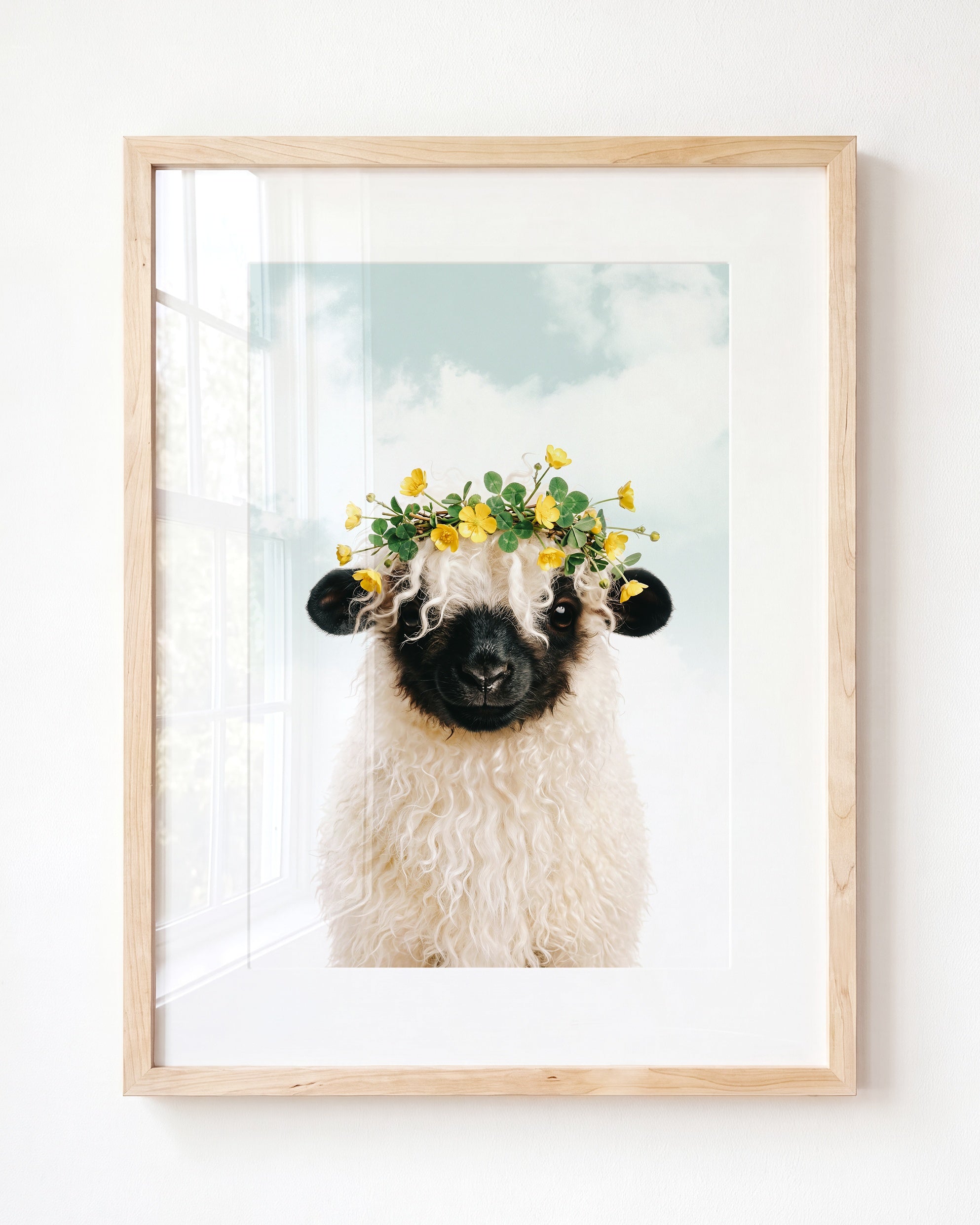 Baby Blacknose Sheep
