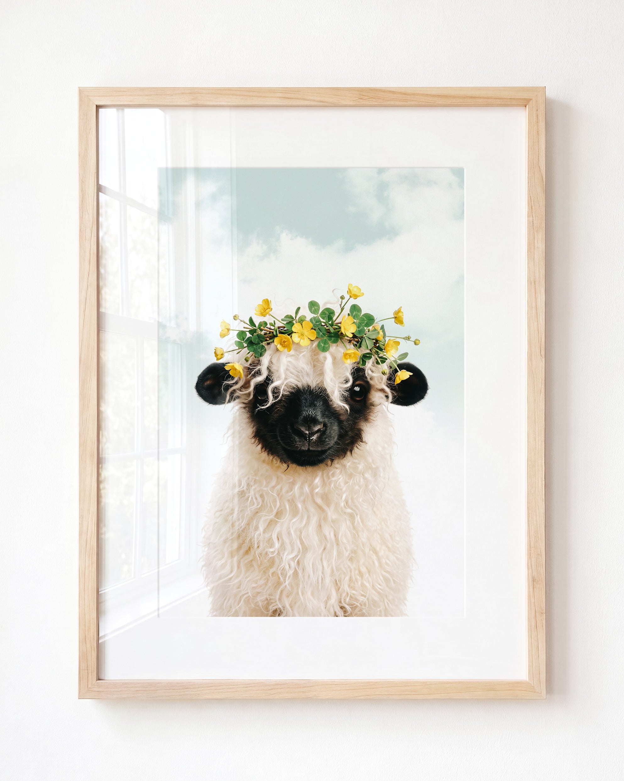 Baby Blacknose Sheep