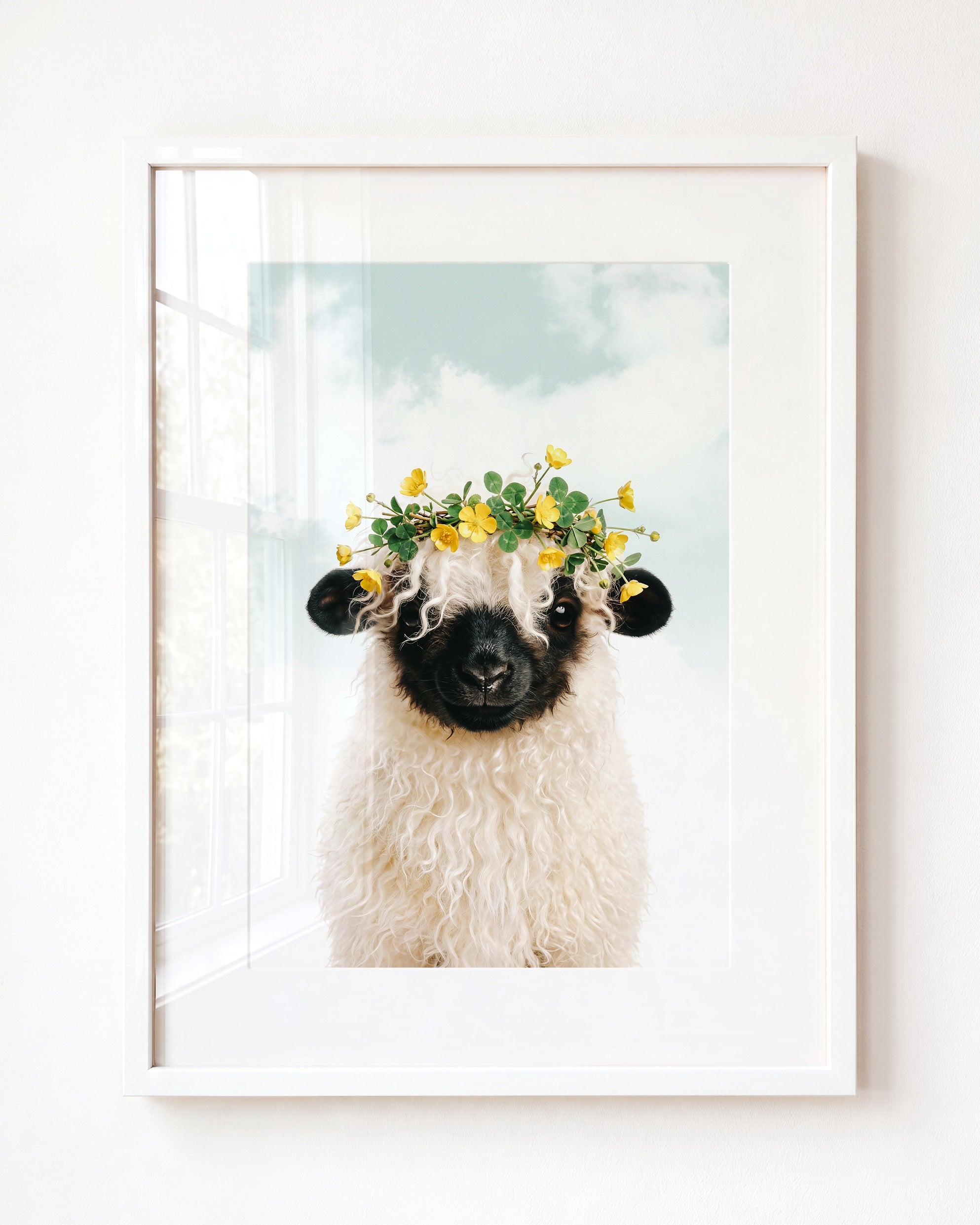 Baby Blacknose Sheep