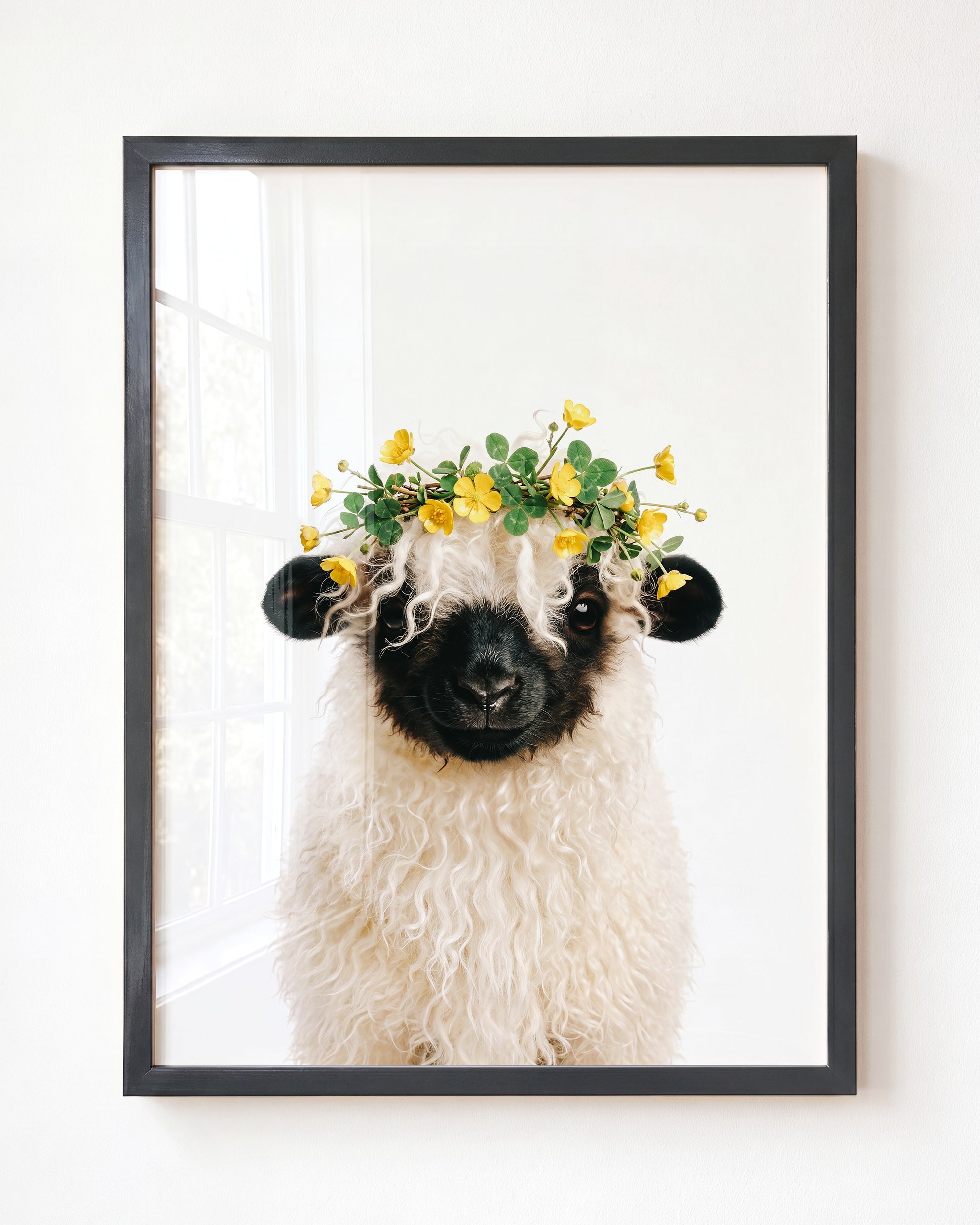 Baby Blacknose Sheep