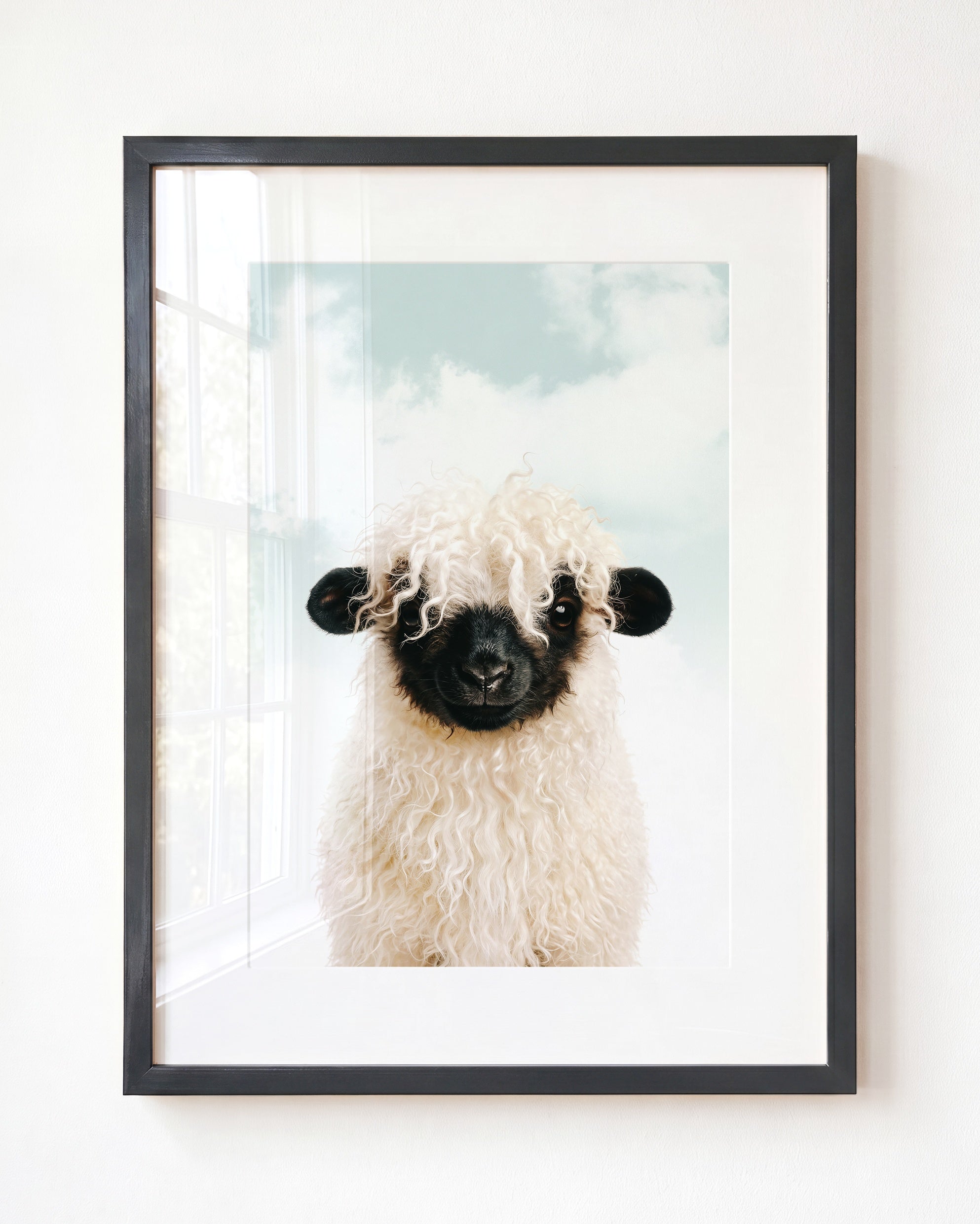 Baby Blacknose Sheep