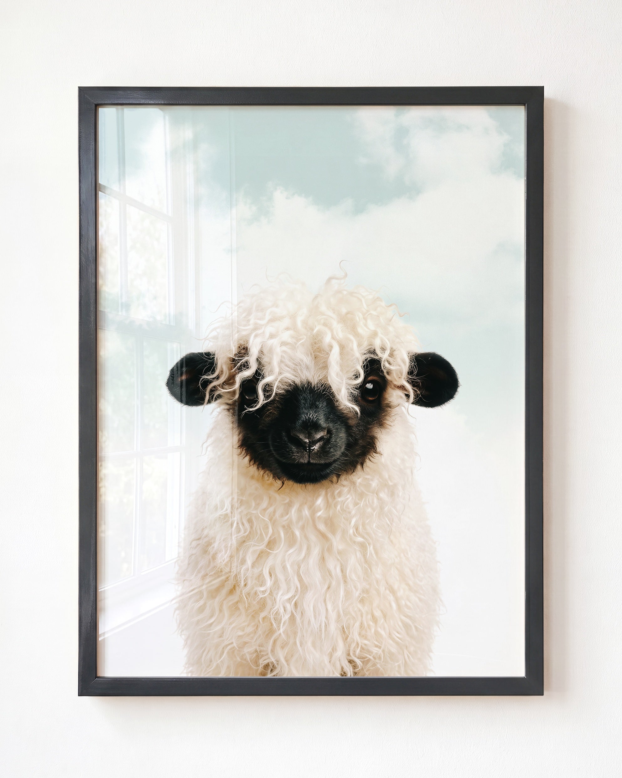 Baby Blacknose Sheep